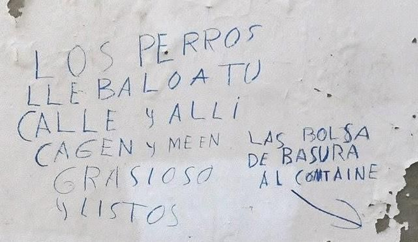 España necesita una campaña de alfabetización. Foto Eulogio