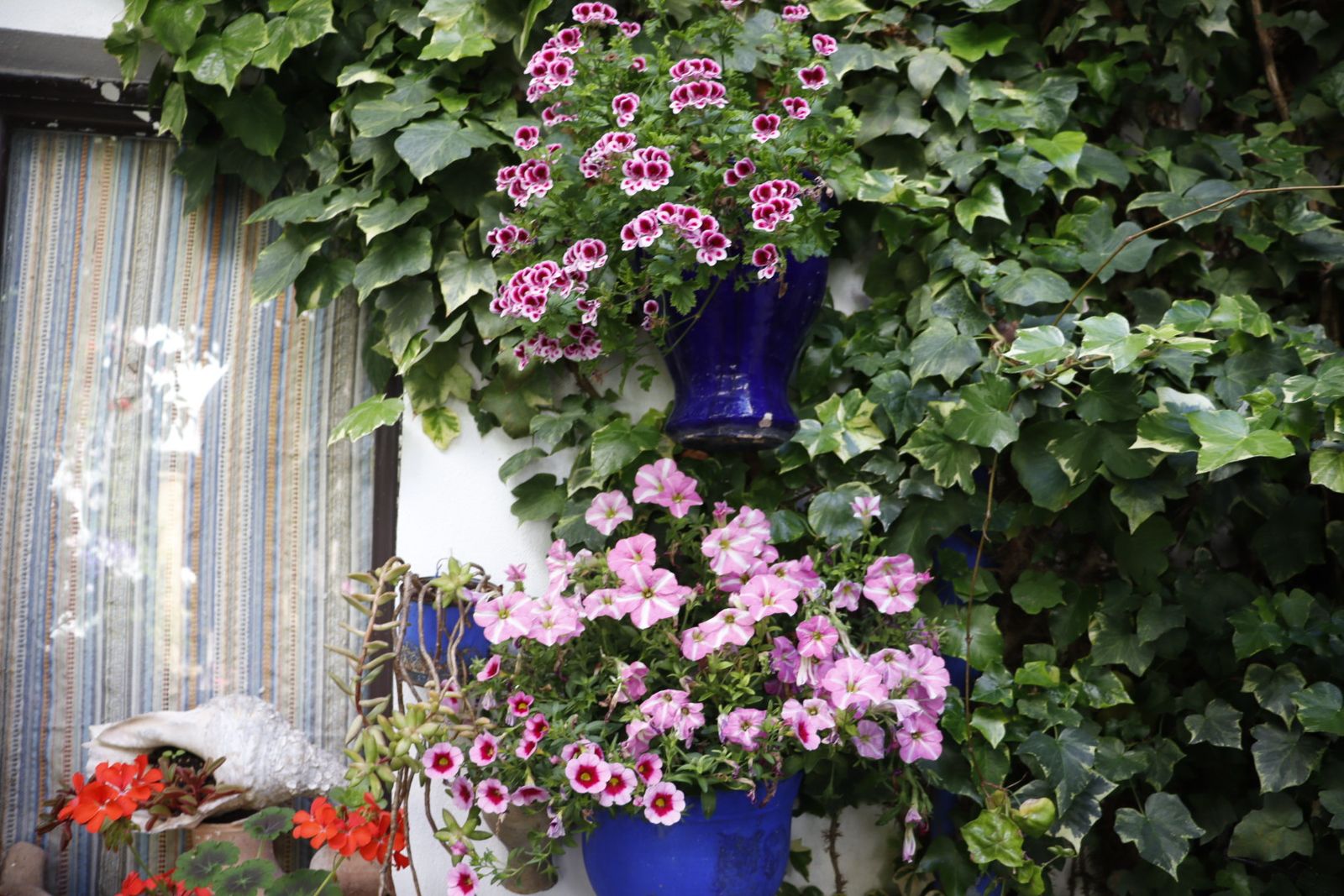 Ruta de los patios de San Lorenzo