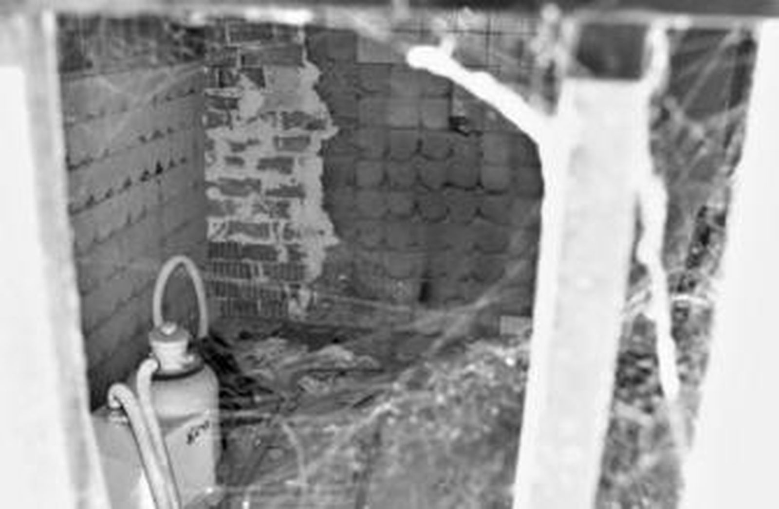 Interior de una cocina destrozada, en la que, incluso, han arrancado los azulejos.