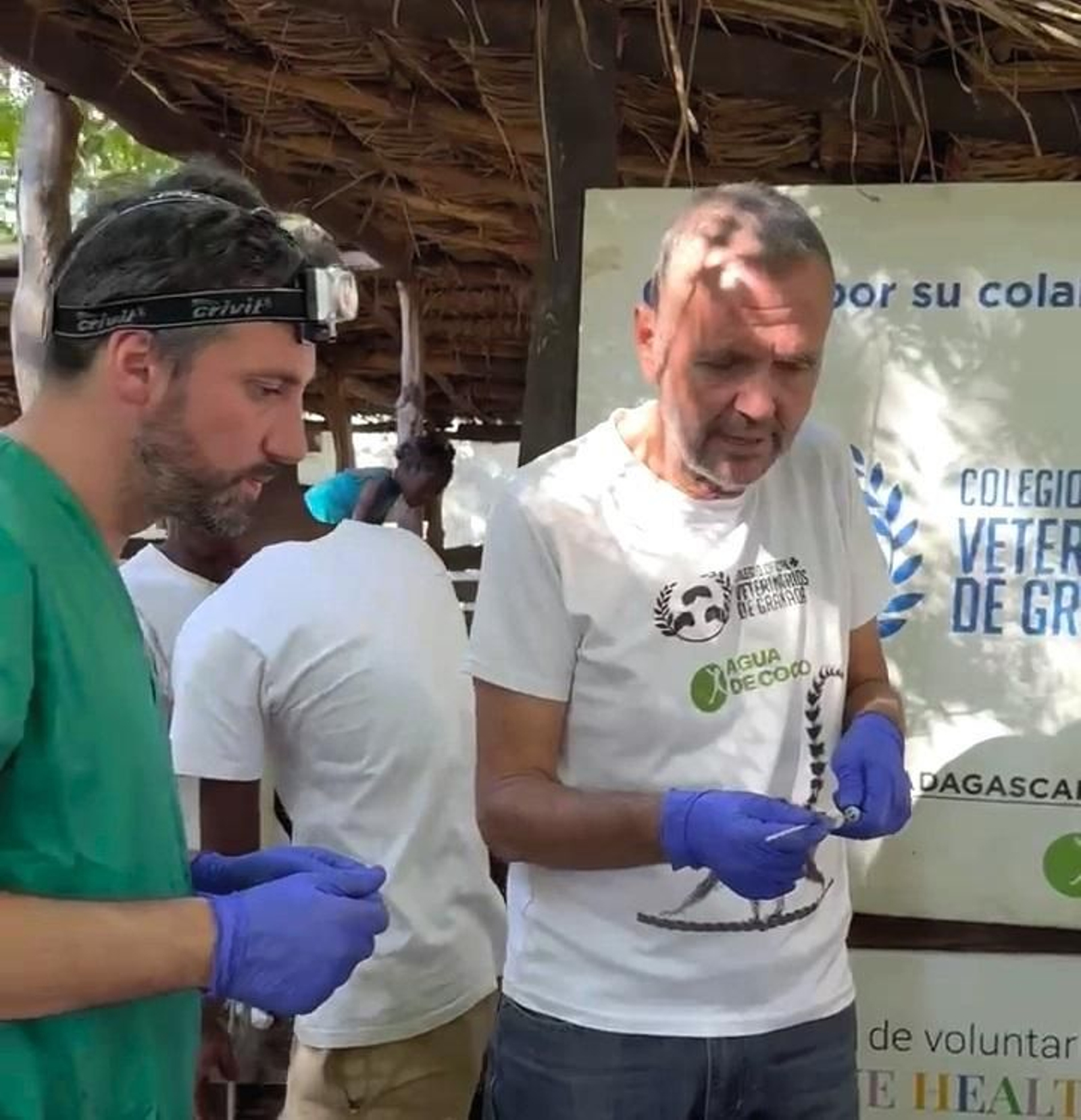 José Luis Guirao y Javier Maestra preparan la inseminación artificial de cabras malgaches con semen de la raza murciano-granadina. José Luis Guirao y Javier Maestra preparan la inseminación artificial de cabras malgaches con semen de la raza murciano-granadina.