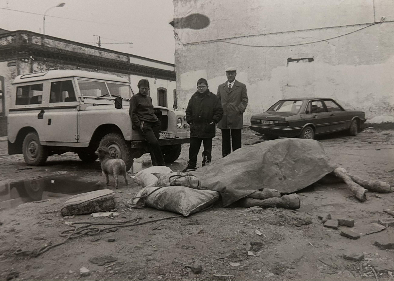 Caballo herido en la calle Aragón, donde fue operado de urgencia