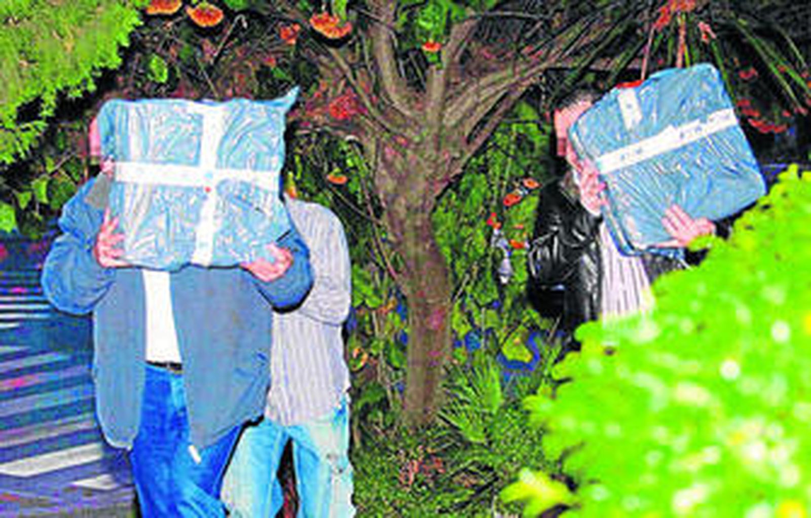 Agentes de la Udyco intervienen en una operación contra el tráfico de drogas.