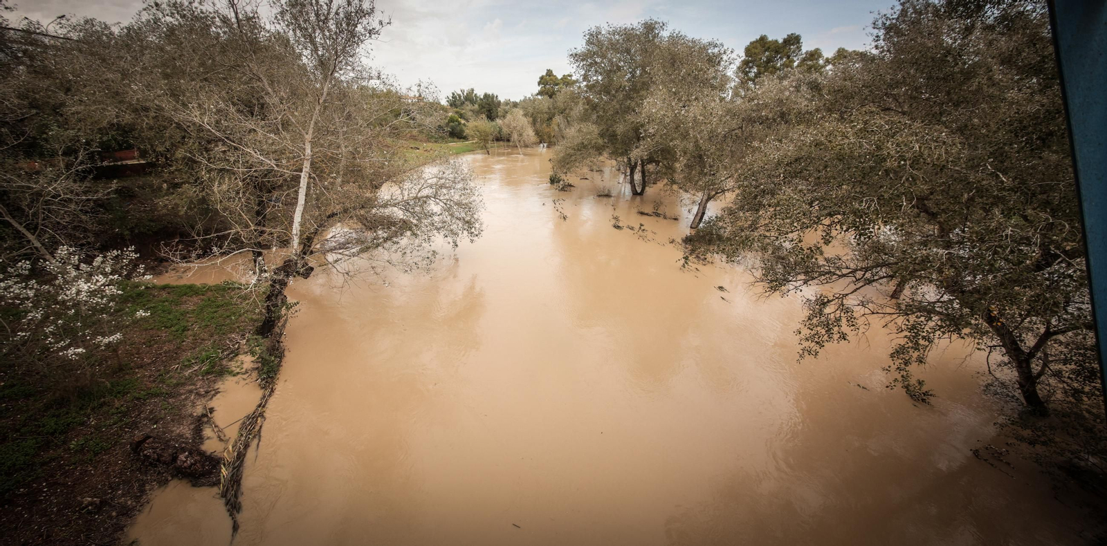 Imágenes de los destrozos tras el paso de la Dana por la campiña de Jerez