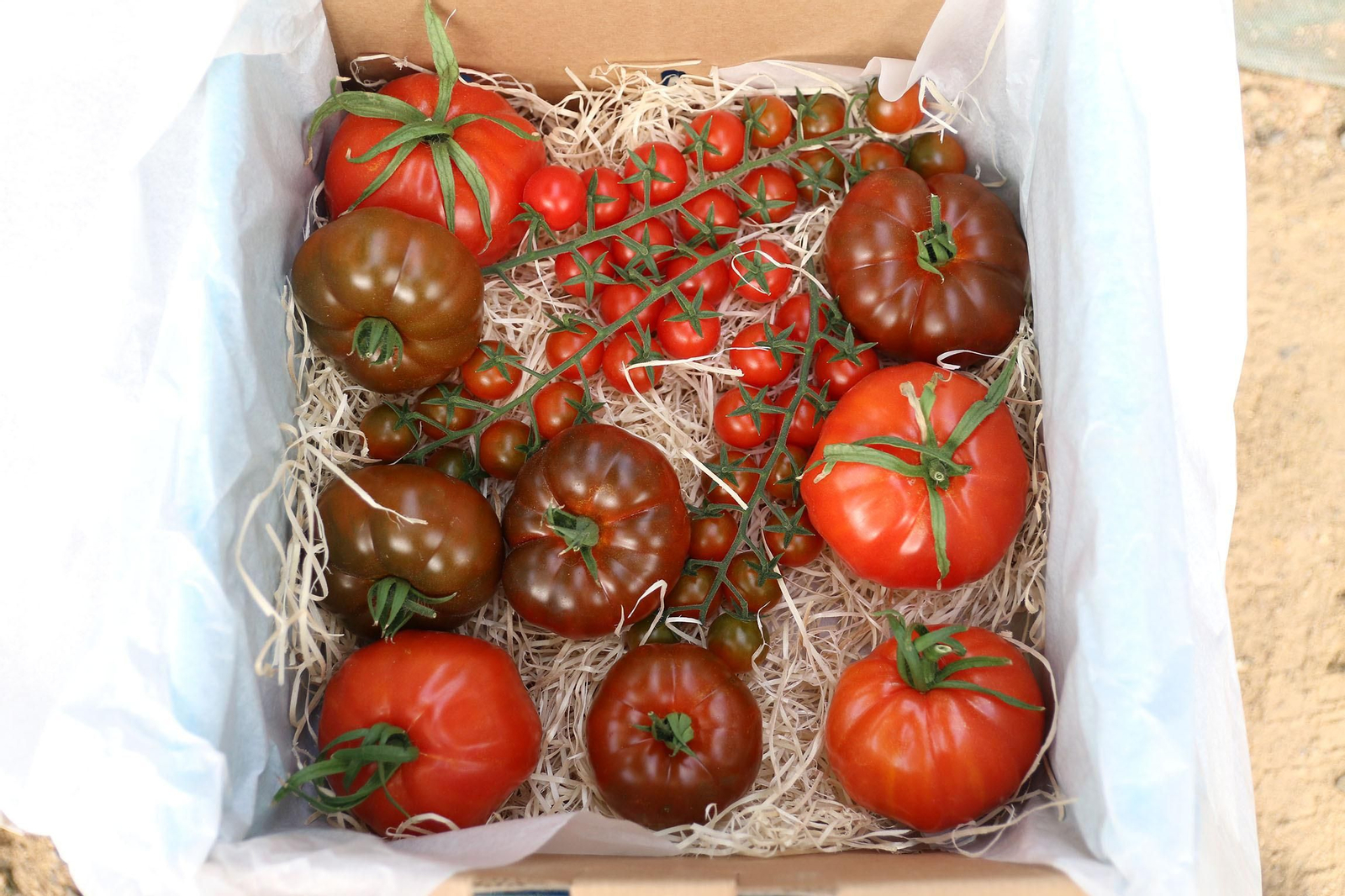 Fotogalería de la presentación de Plataforma Tierra, de Cajamar e IBM