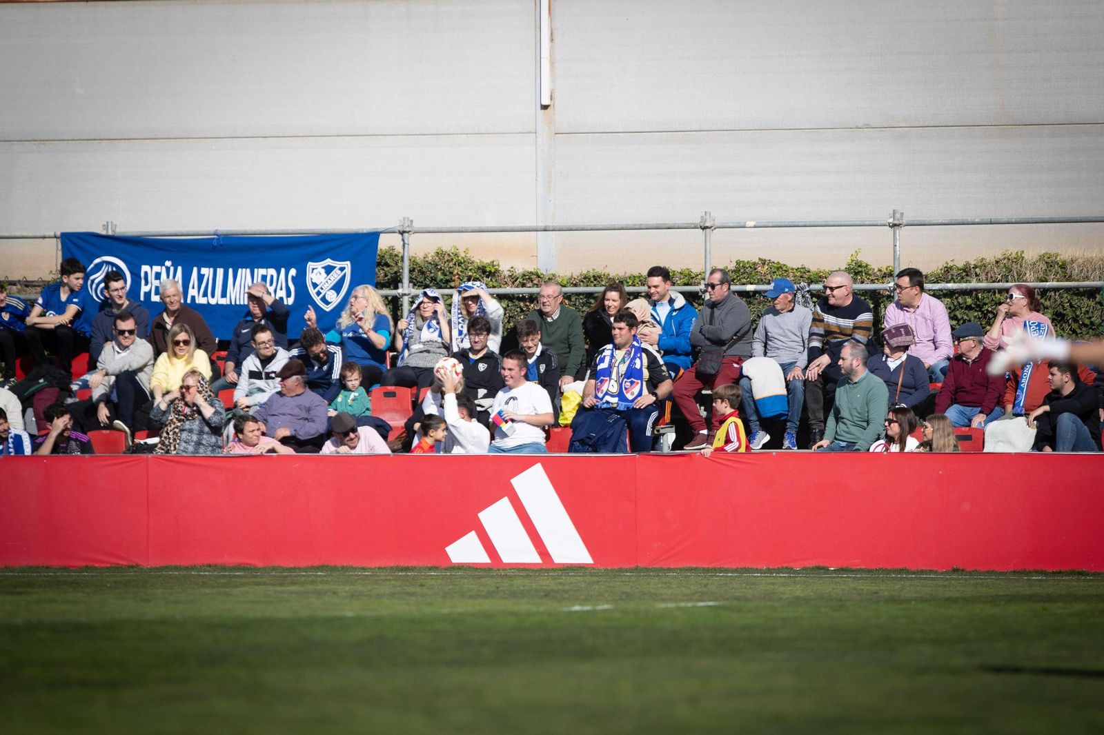 Las mejores imágenes del Recreativo Granada-Linares