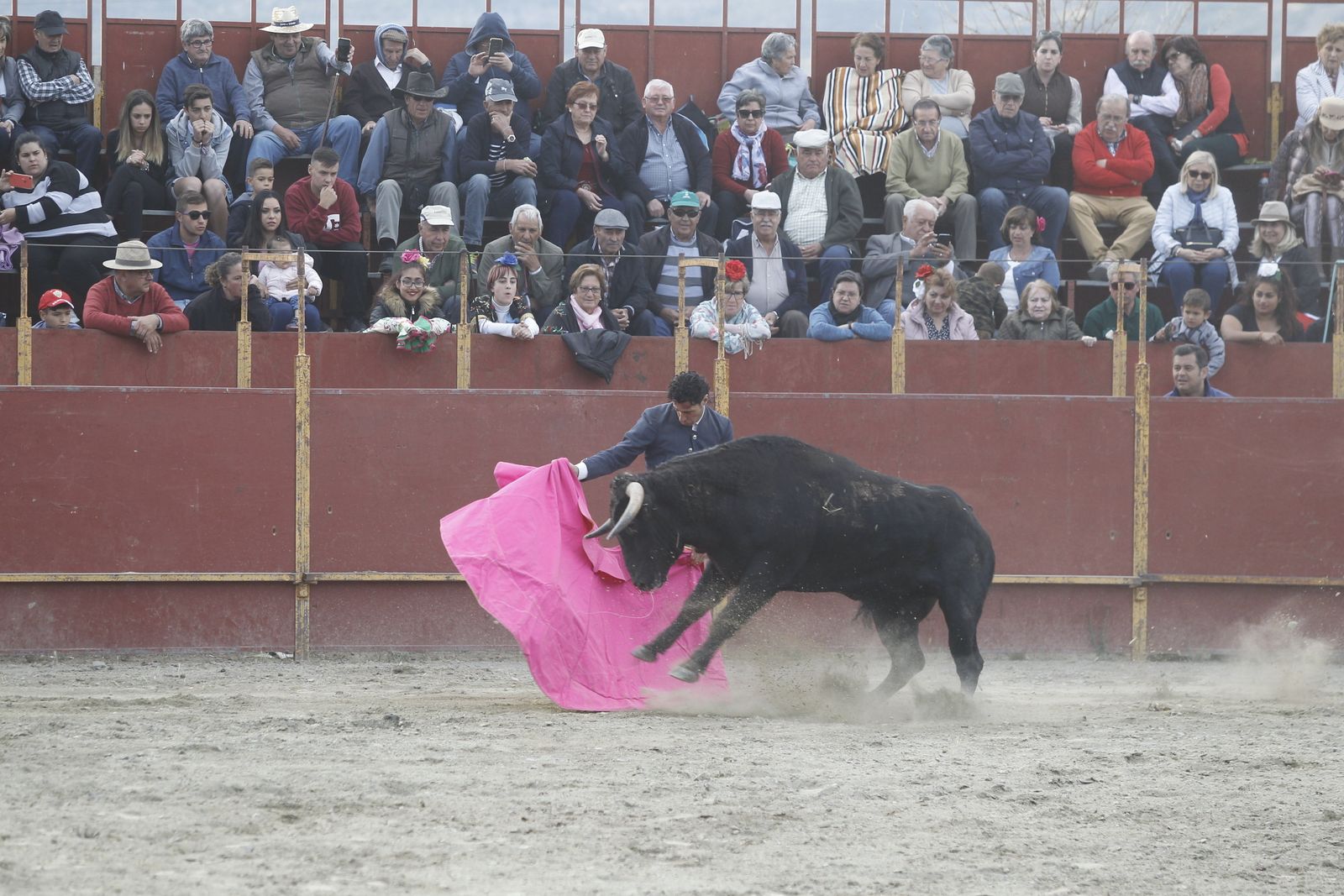 Fotogalería Festival Taurino Mixto. Fiestas de Abrucena.