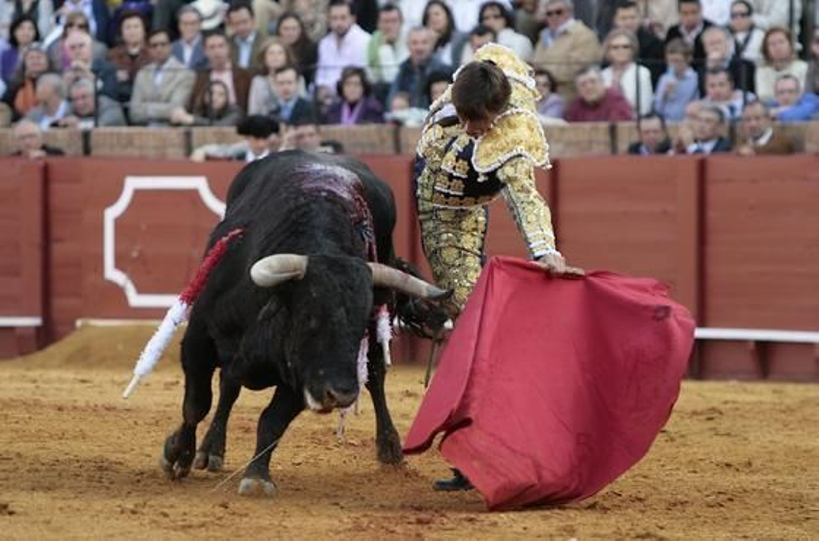 Con uniforme azul y oro, el diestro albaceteño Miguel Tendero debutó como matador en el Maestranza. 

Foto: Juan Carlos Muñoz