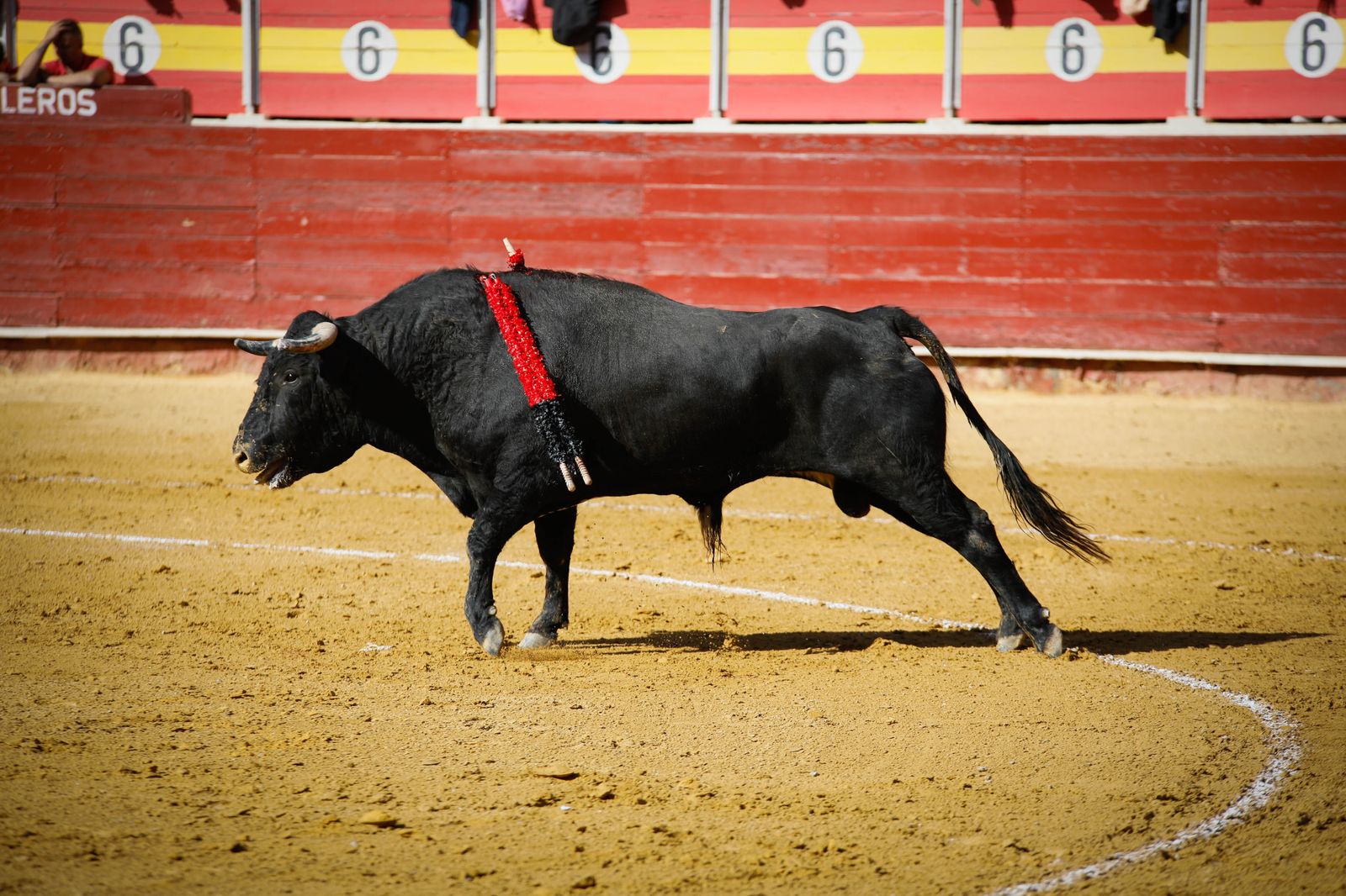 Imágenes del festival mixto lucha contra el cáncer