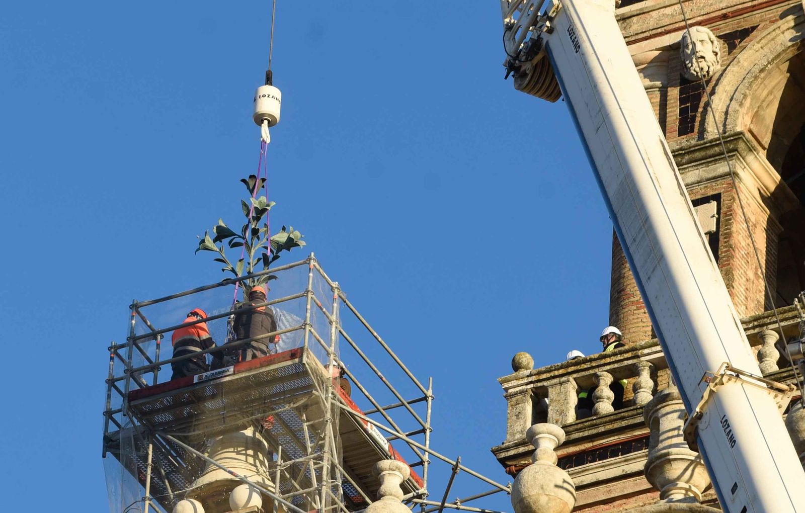 La retirada de las jarras de las azucenas de la Giralda, en imágenes