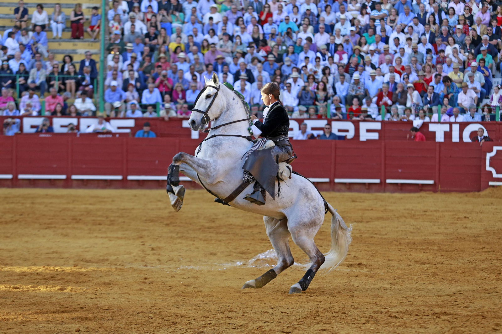 Corrida de Rejones en la plaza de Toros de Jerez