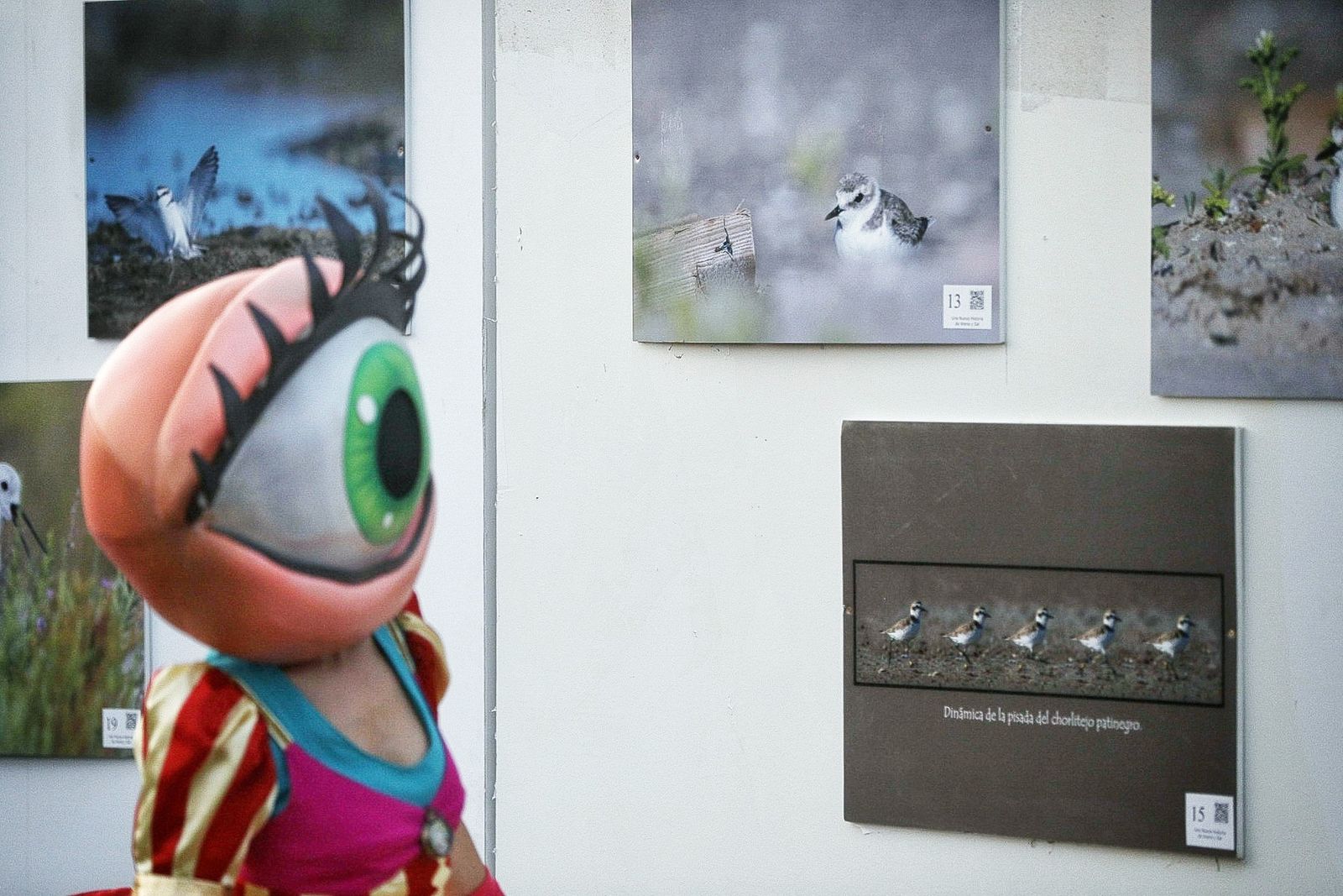 Búscate en la galería del día de Chiclana en el Concert Music Festival