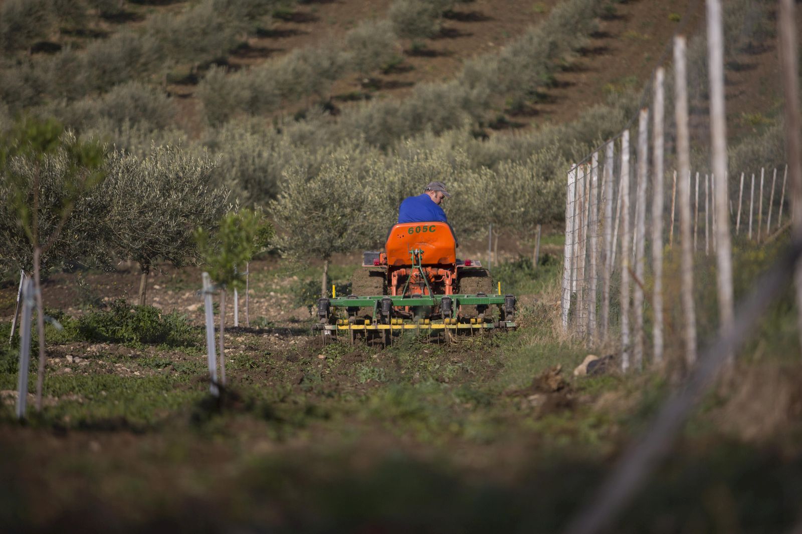 Un productor trabajando con su tractor.