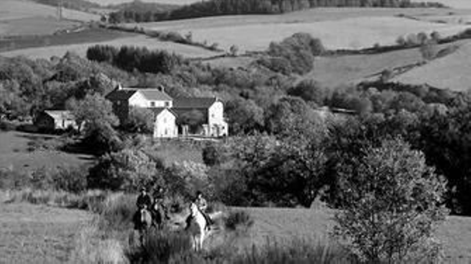Imagen de algunos jinetes en una de las nuevas rutas ecuestres.