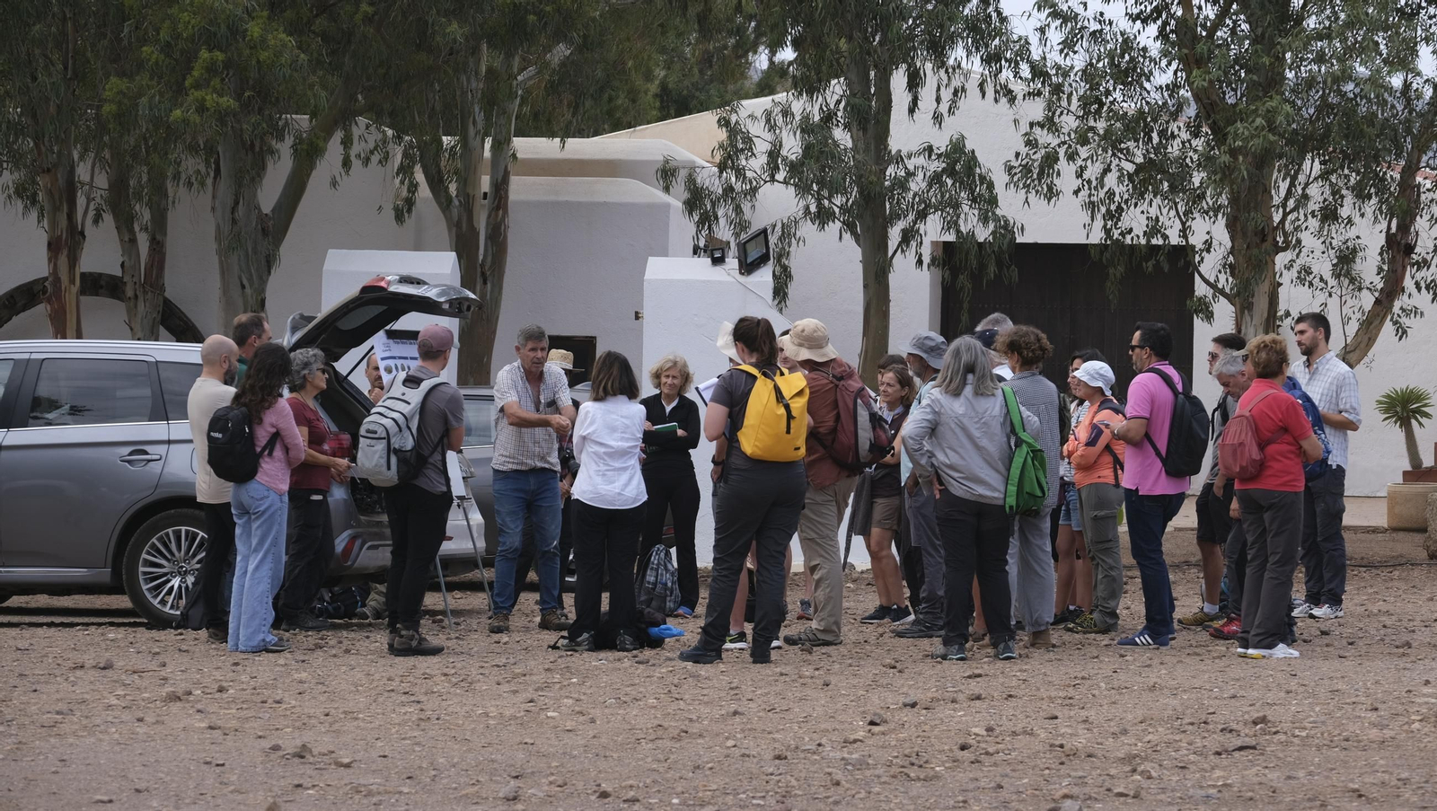 Recorrido por el cortijo El Romeral con 1200 cabras celtibéricas, en imágenes
