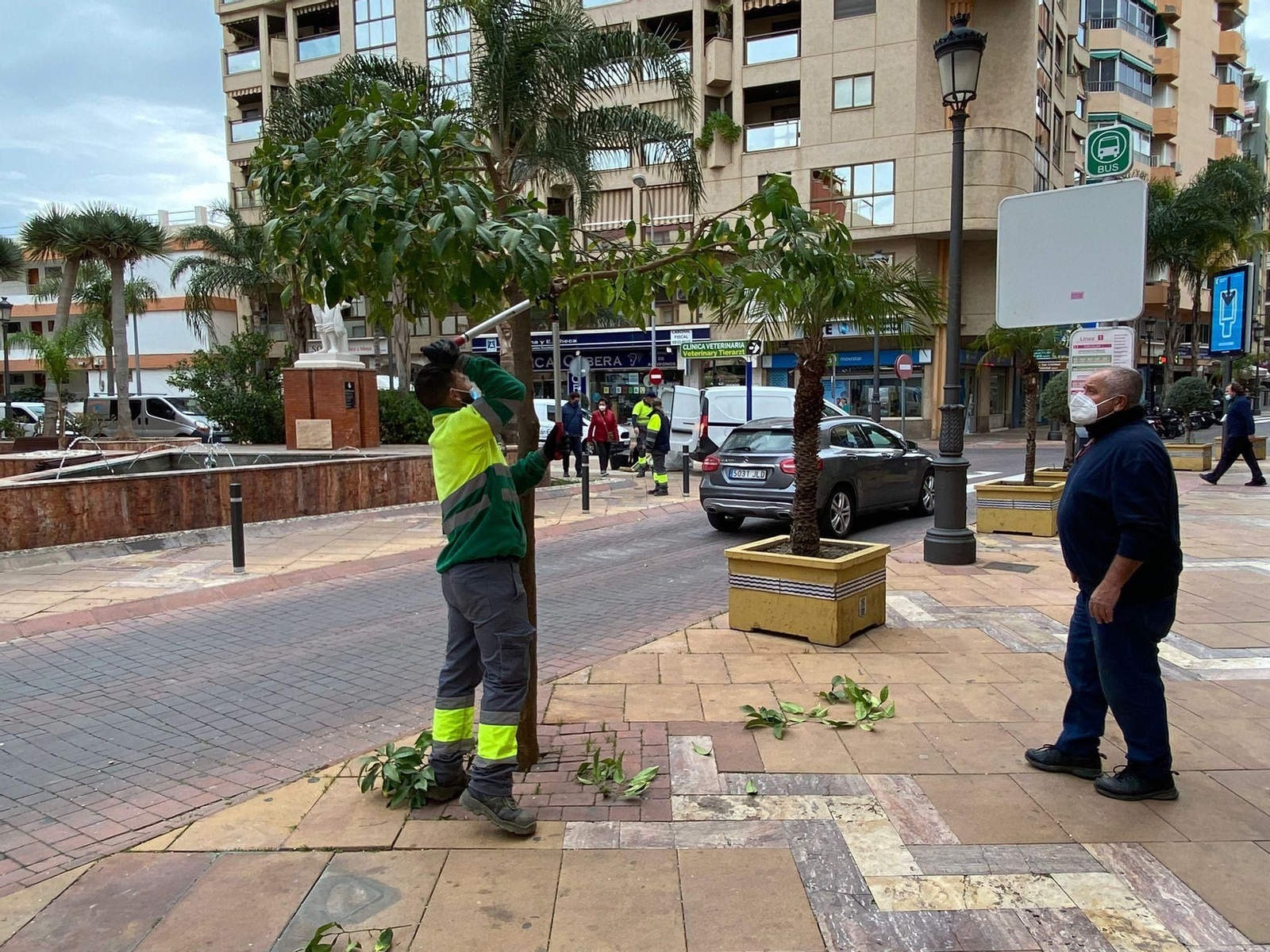 Costa de Granada: Almuñécar realiza un plan de choque de poda en distintos puntos del municipio