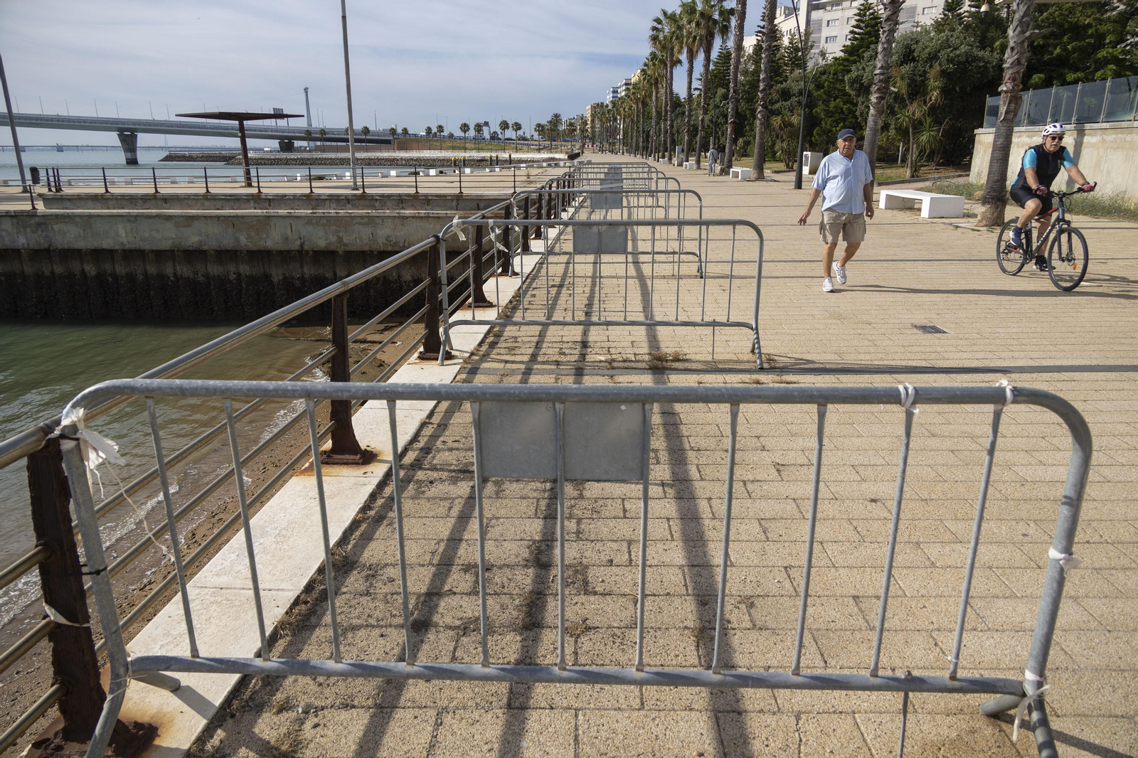 Las imágenes del mal estado de los paseos de Cádiz