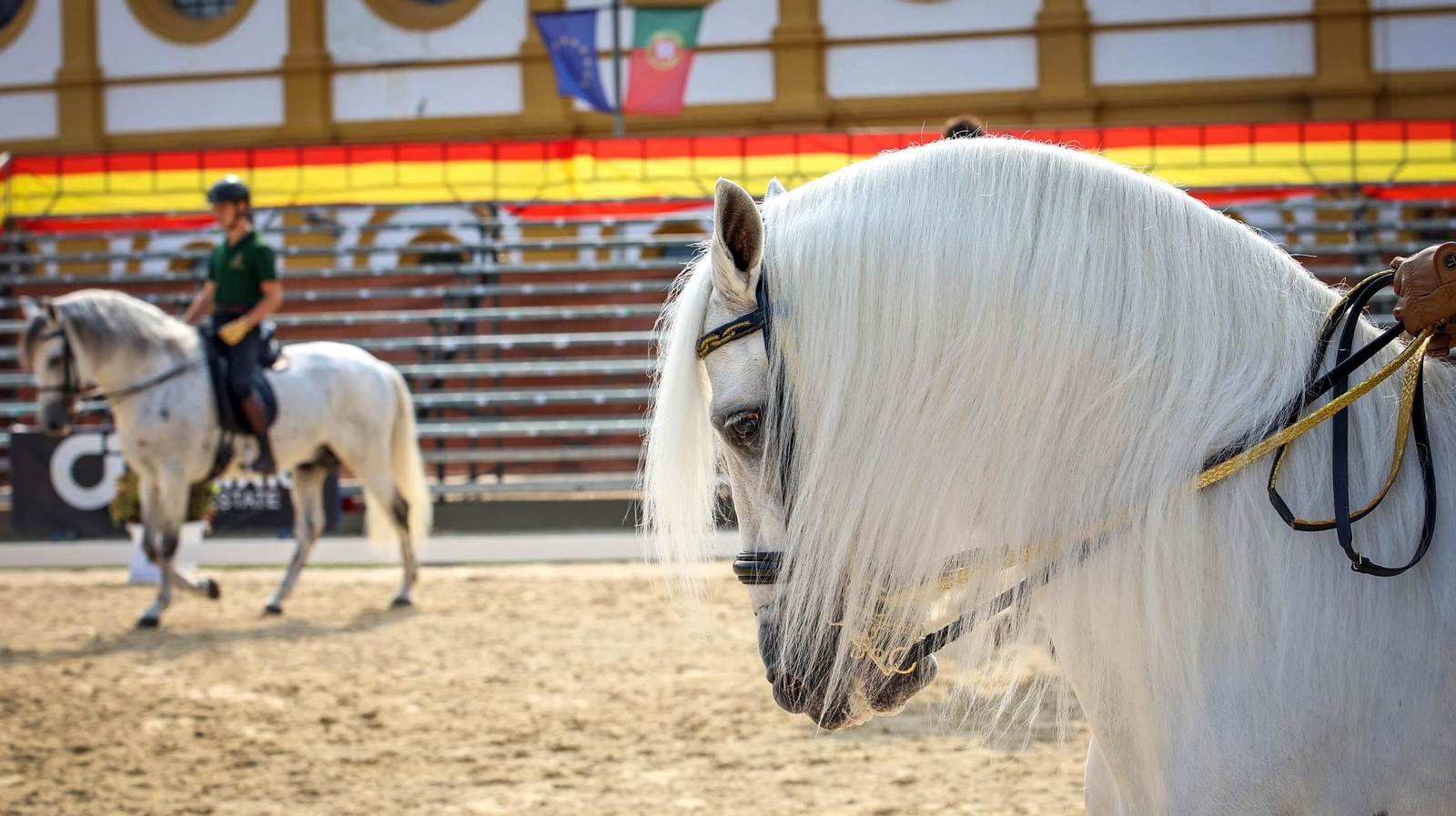 Ensayos para la Gala V Escuelas en Jerez