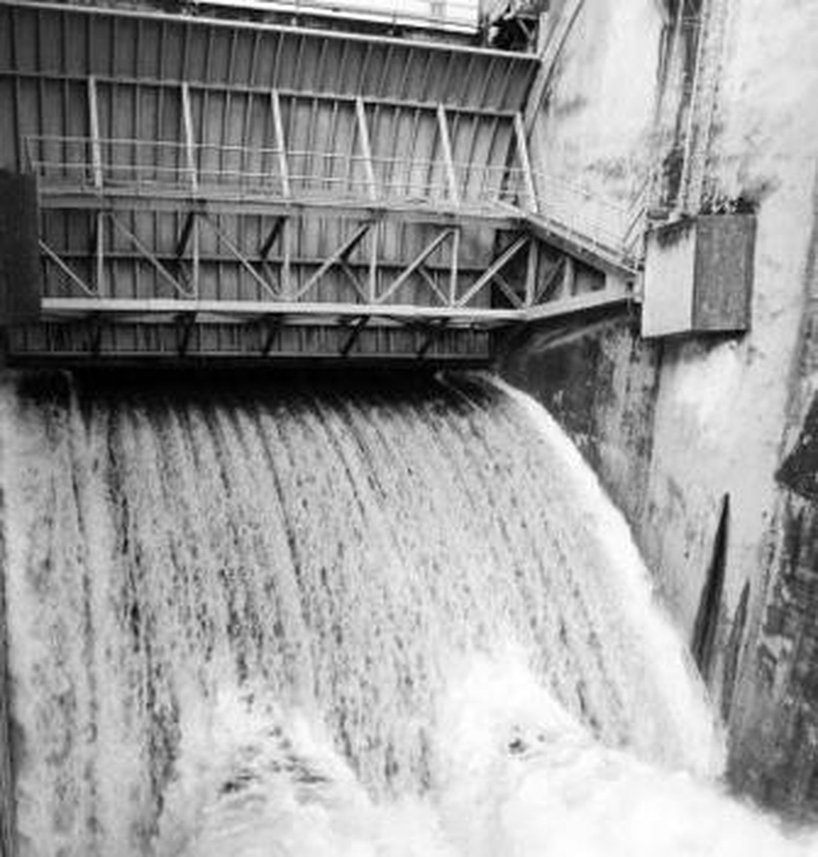 Una imagen de archivo del Pintado desembalsando.