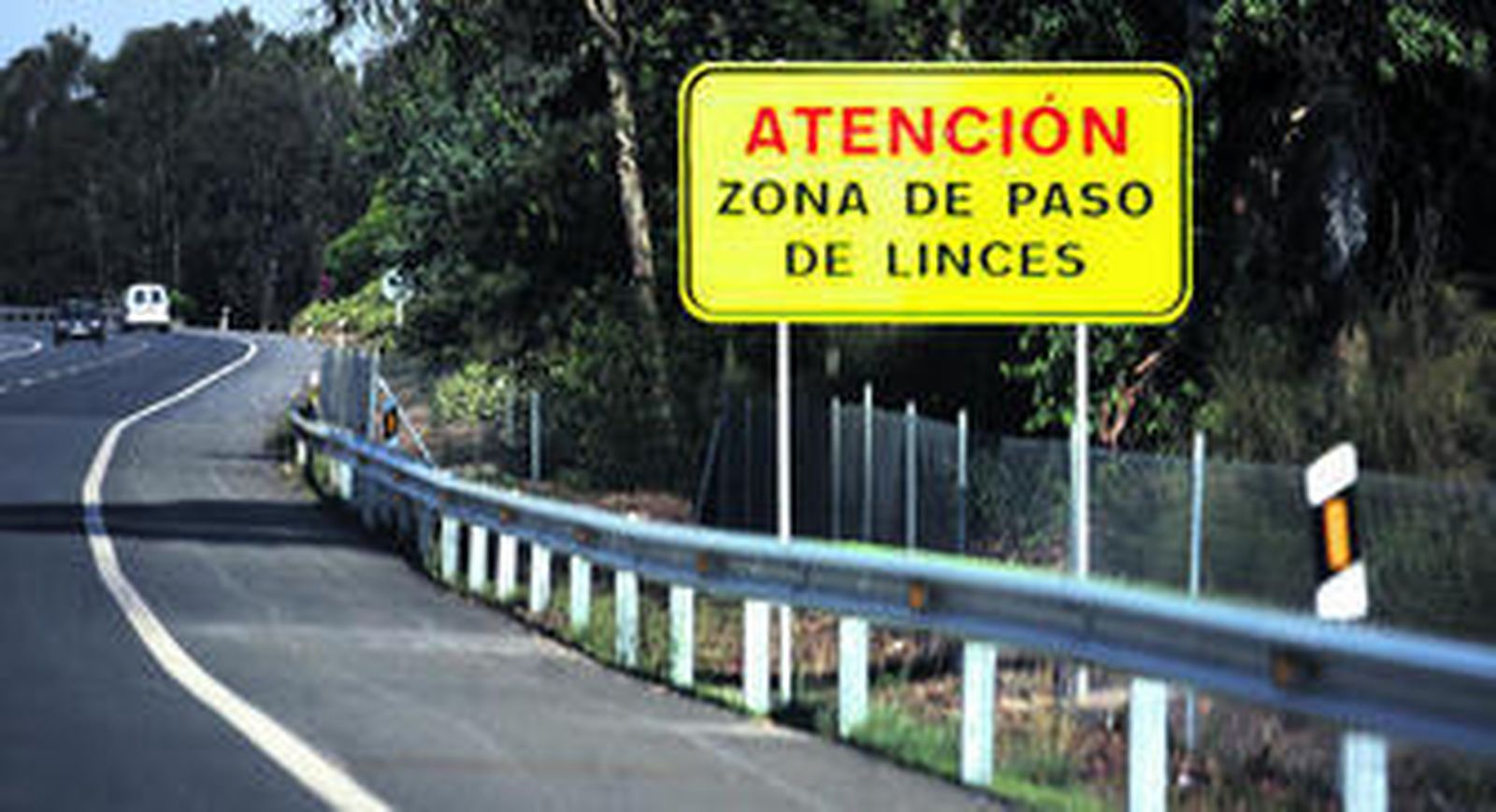 Señal que advierte del paso de linces al margen derecho de la carretera que une Huelva con Mazagón.