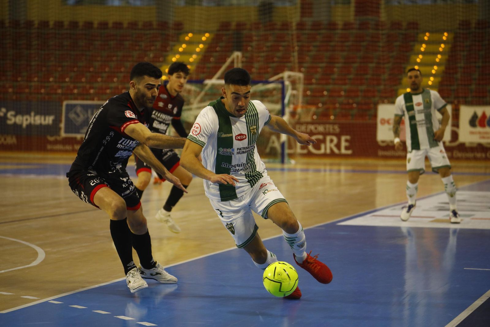 Las mejores fotos del ambiente en Vista Alegre para el Córdoba Futsal - Noia