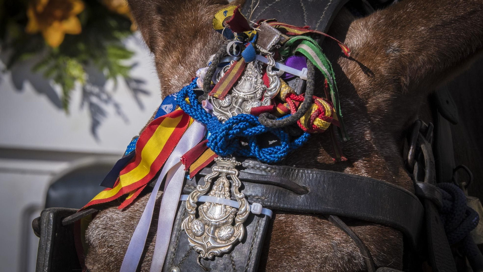 Recorrido por la ciudad de la Hermandad del Rocío de Cádiz antes de partir hacia Bajo de Guía.