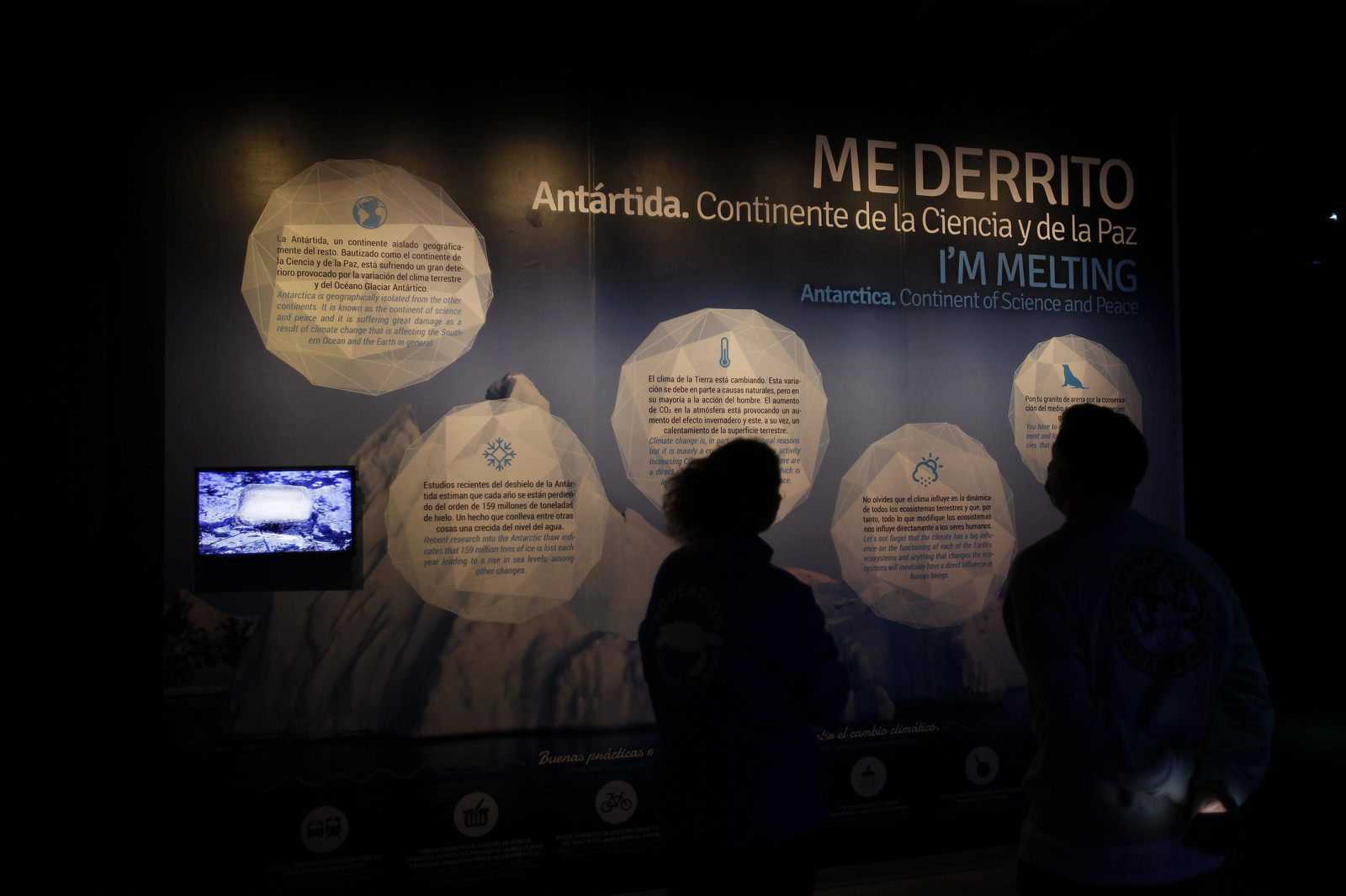 Semana de la Educación Ambiental en el Acuario de Sevilla