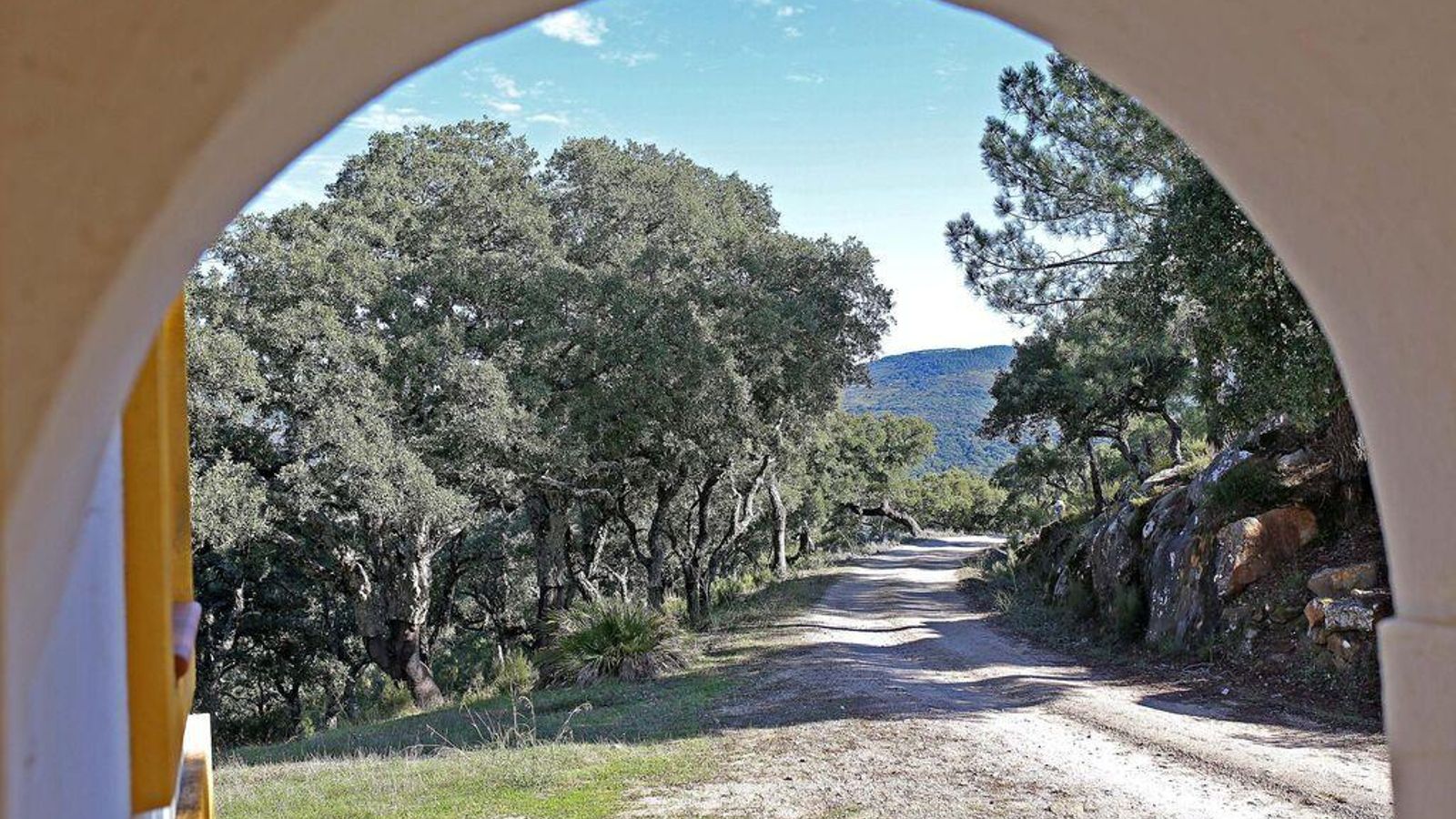 Uno de los senderos de los Montes de Propios