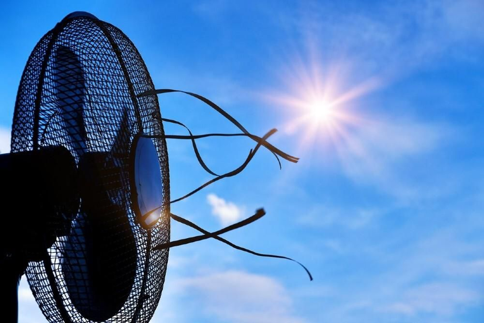 Ventiladores y aire acondicionado, un artículo de lujo para cada vez más familias. Ventiladores y aire acondicionado, un artículo de lujo para cada vez más familias.