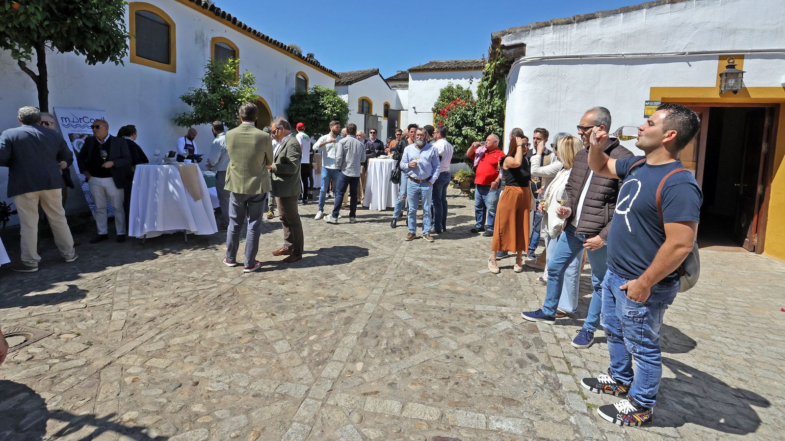 Presentación nueva saca de primavera de Fino en Rama de Fernando de Castilla