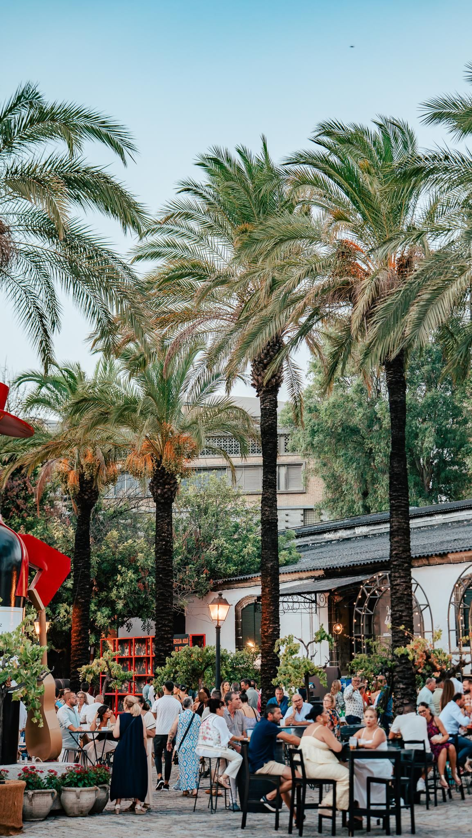 Las imágenes del concierto de Rancapino Chico en Tío Pepe Festival en Jerez
