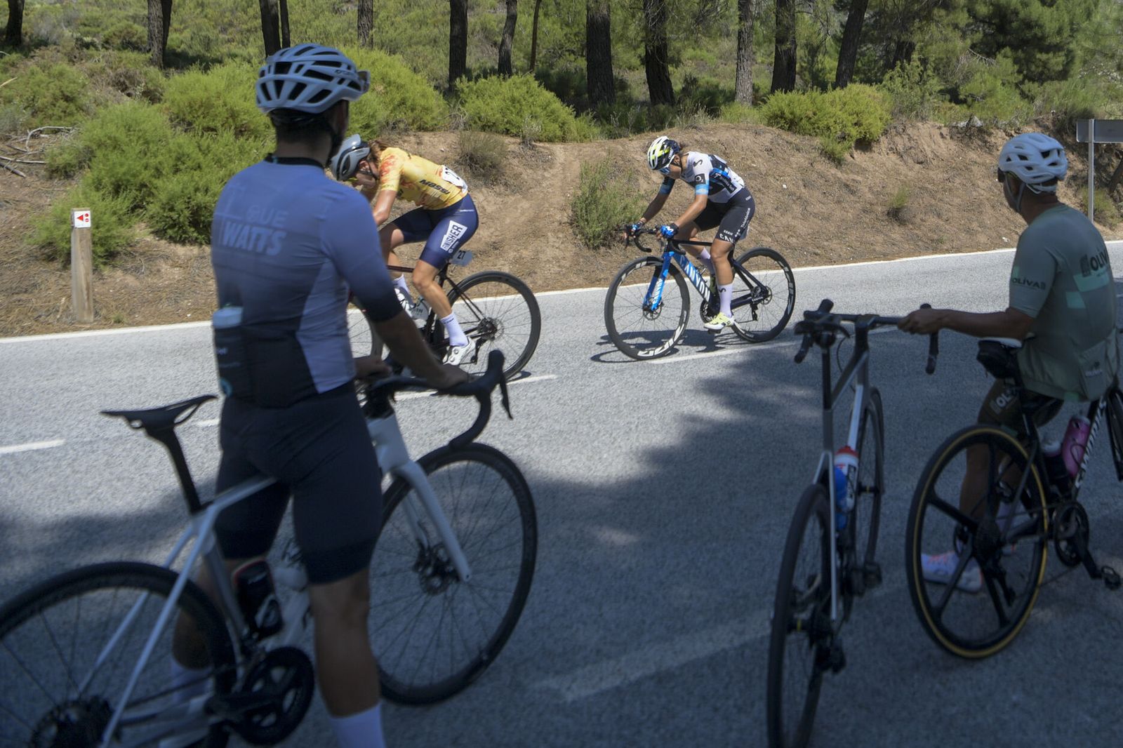 Las mejores imágenes del Campeonato de España en ruta