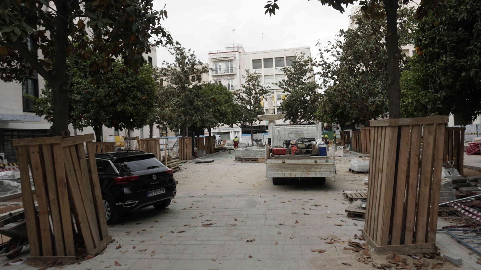 Árboles protegidos para evitar daños con las obras de reurbanización.