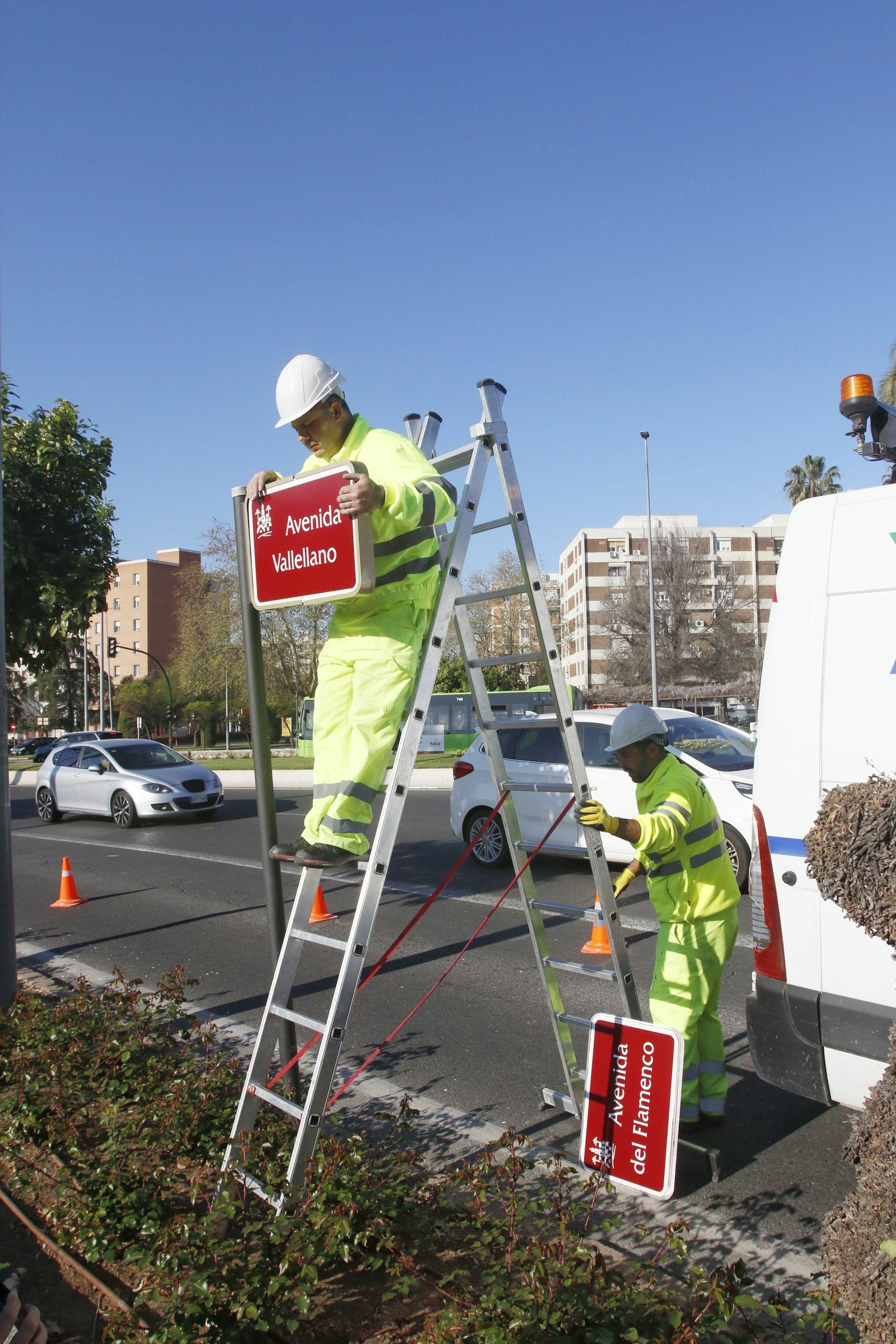 El 'regreso' de Cruz Conde y Vallellano, en fotos