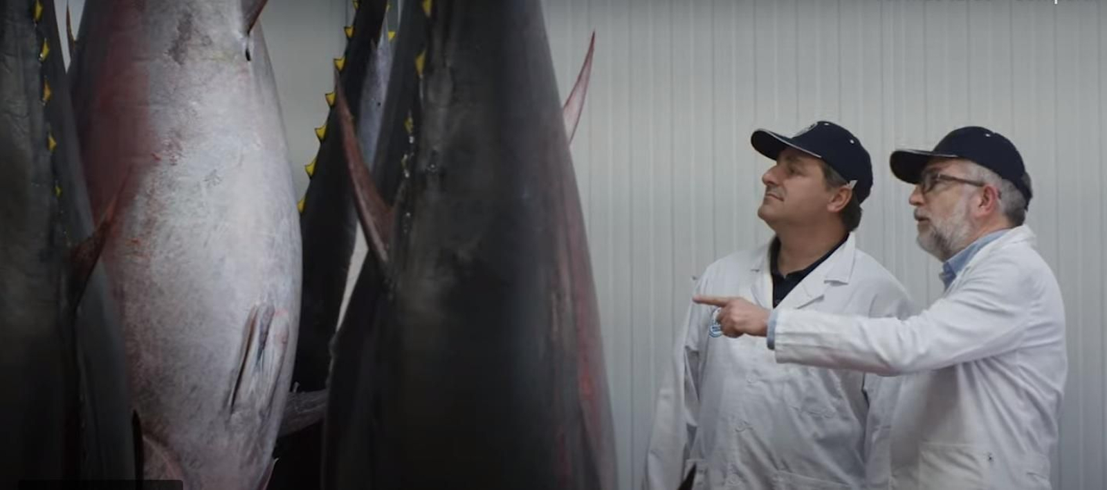 Visista a la almadraba de Barbate.