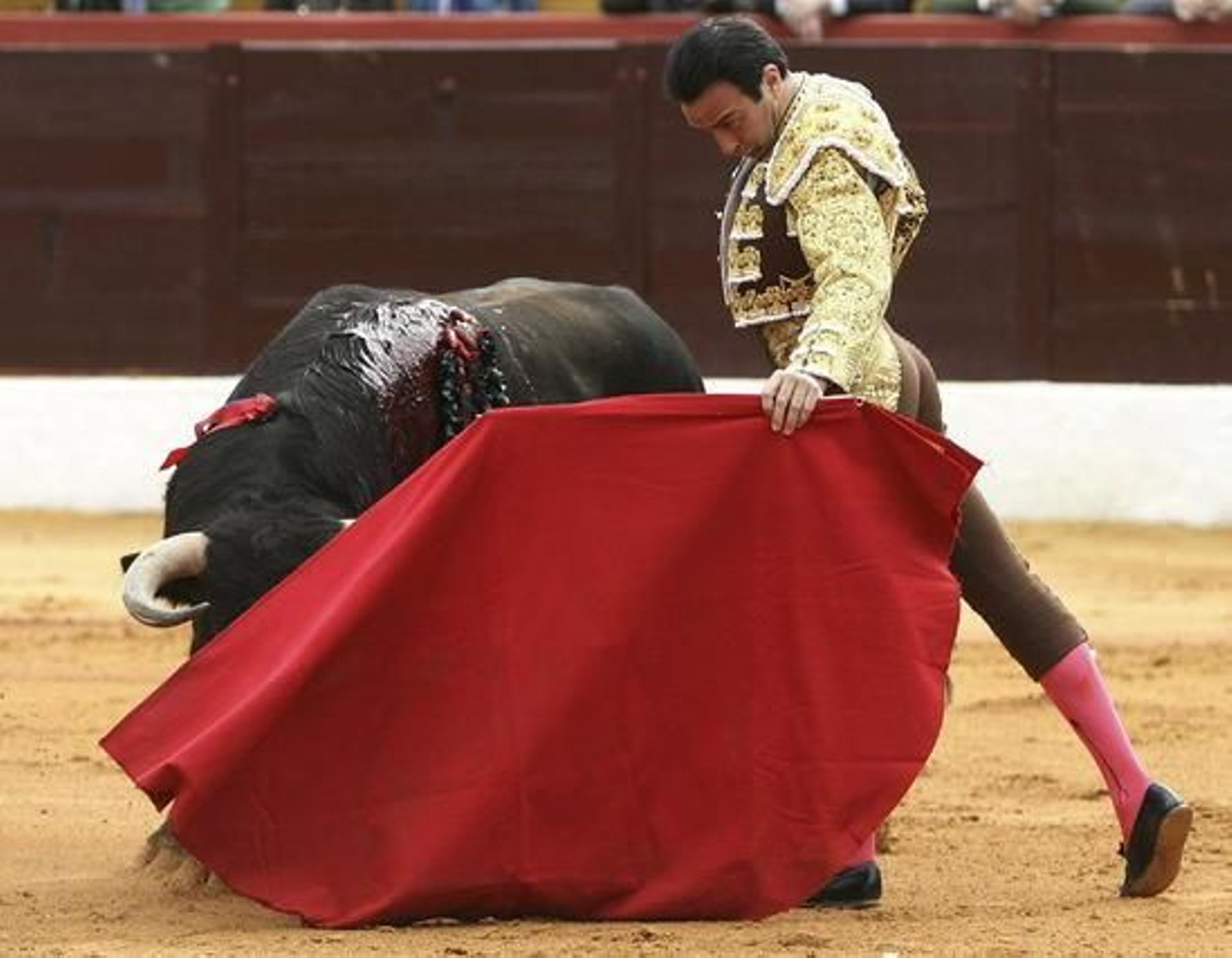 Foto: Manuel Caceres Cuenca (EFE)