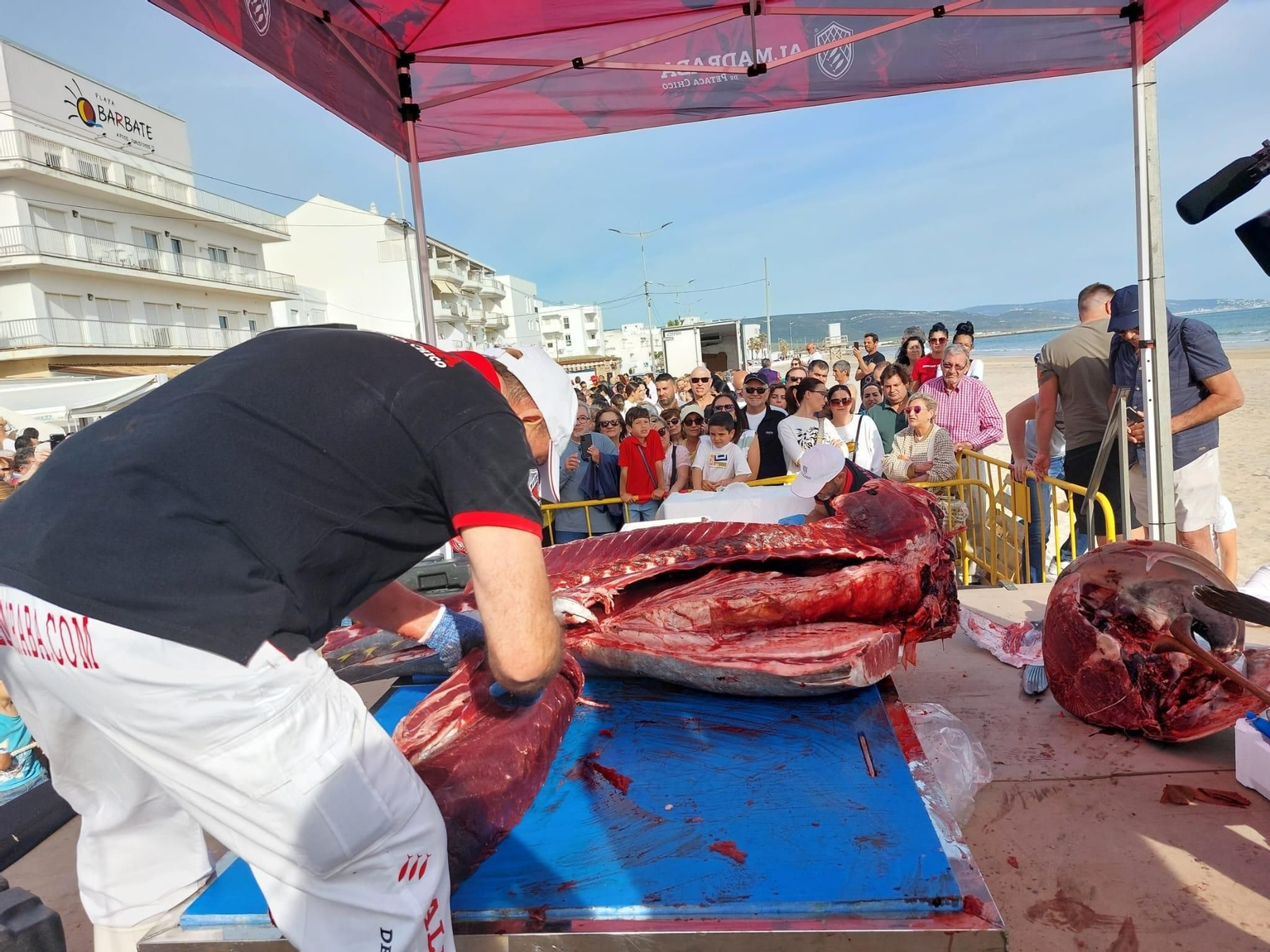 Ronqueo de un atún en el paseo marítimo de la localidad en la edición del pasado año.