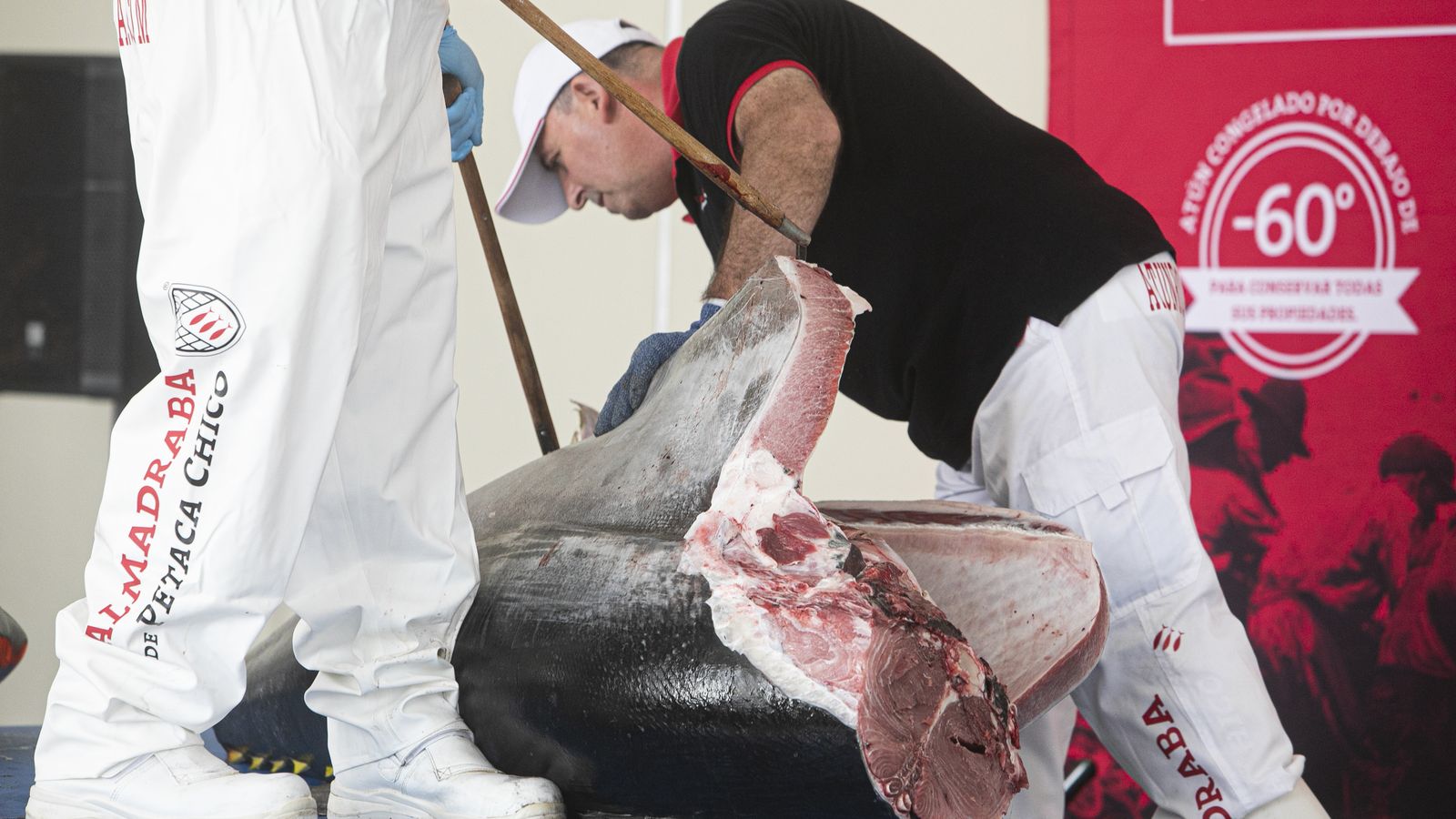 Dos trabajadores de Petaca Chico realizan el ronqueo de un atún rojo.