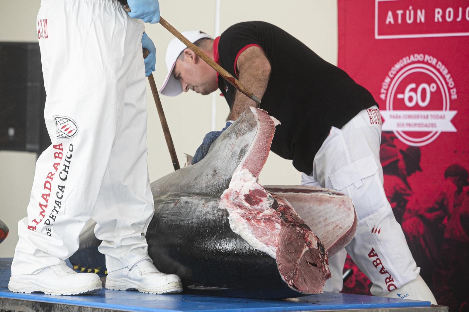 Ronqueo de un atún rojo.