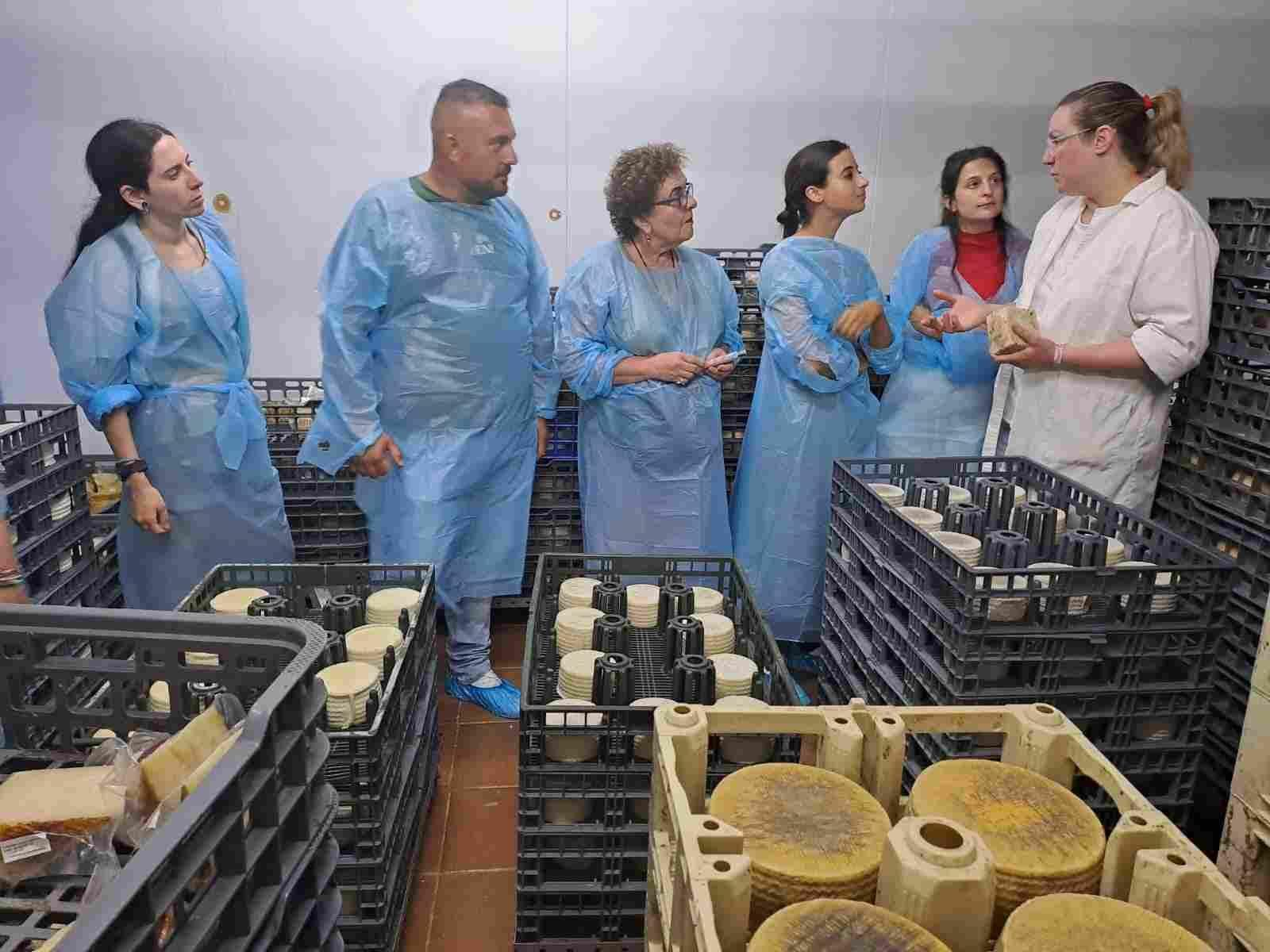 Visita quesería