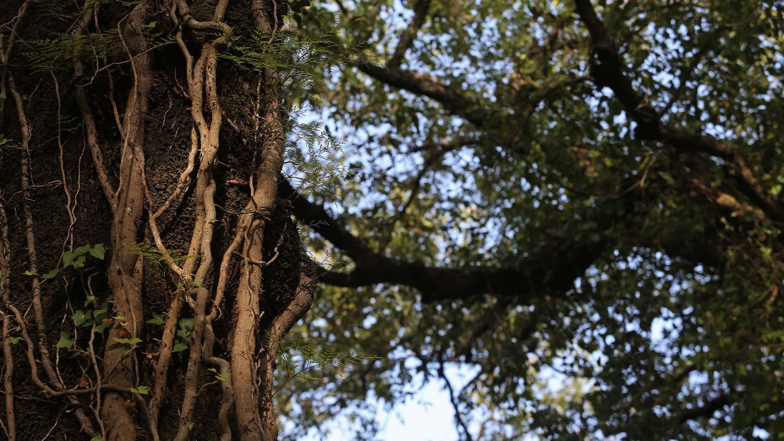 Las mejores fotos de San Carlos del Tiradero