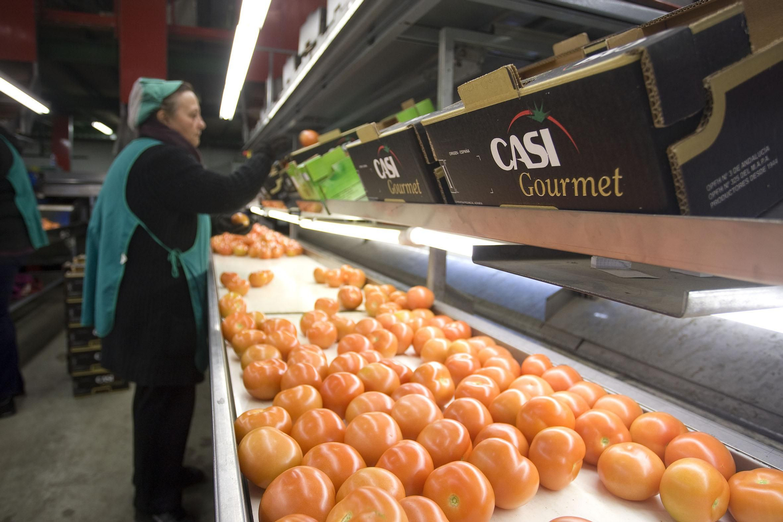 Fábrica de envasado para exportación.