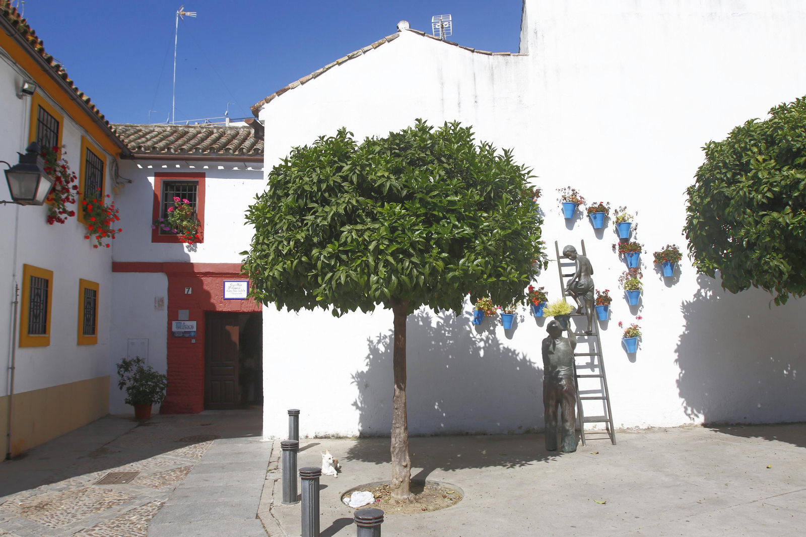 Las fotos de los patios en tiempos de crisis