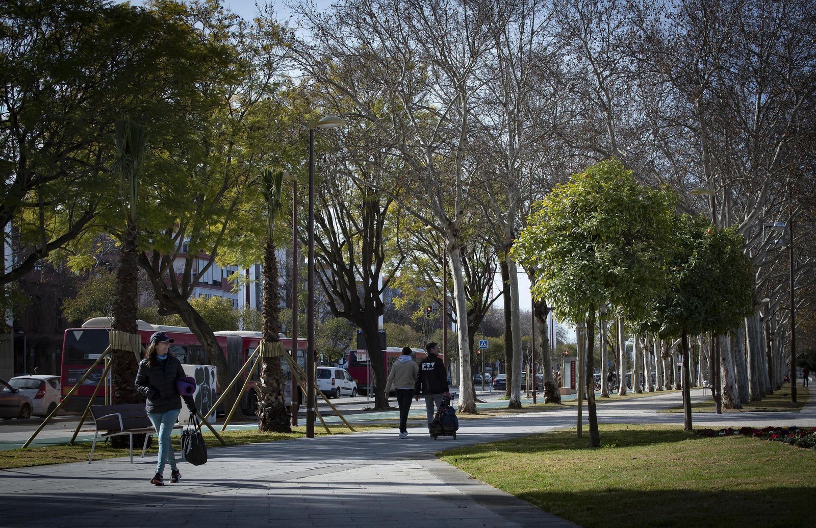 El nuevo paseo de Torneo, la principal herencia del mandato de Antonio Muñoz.