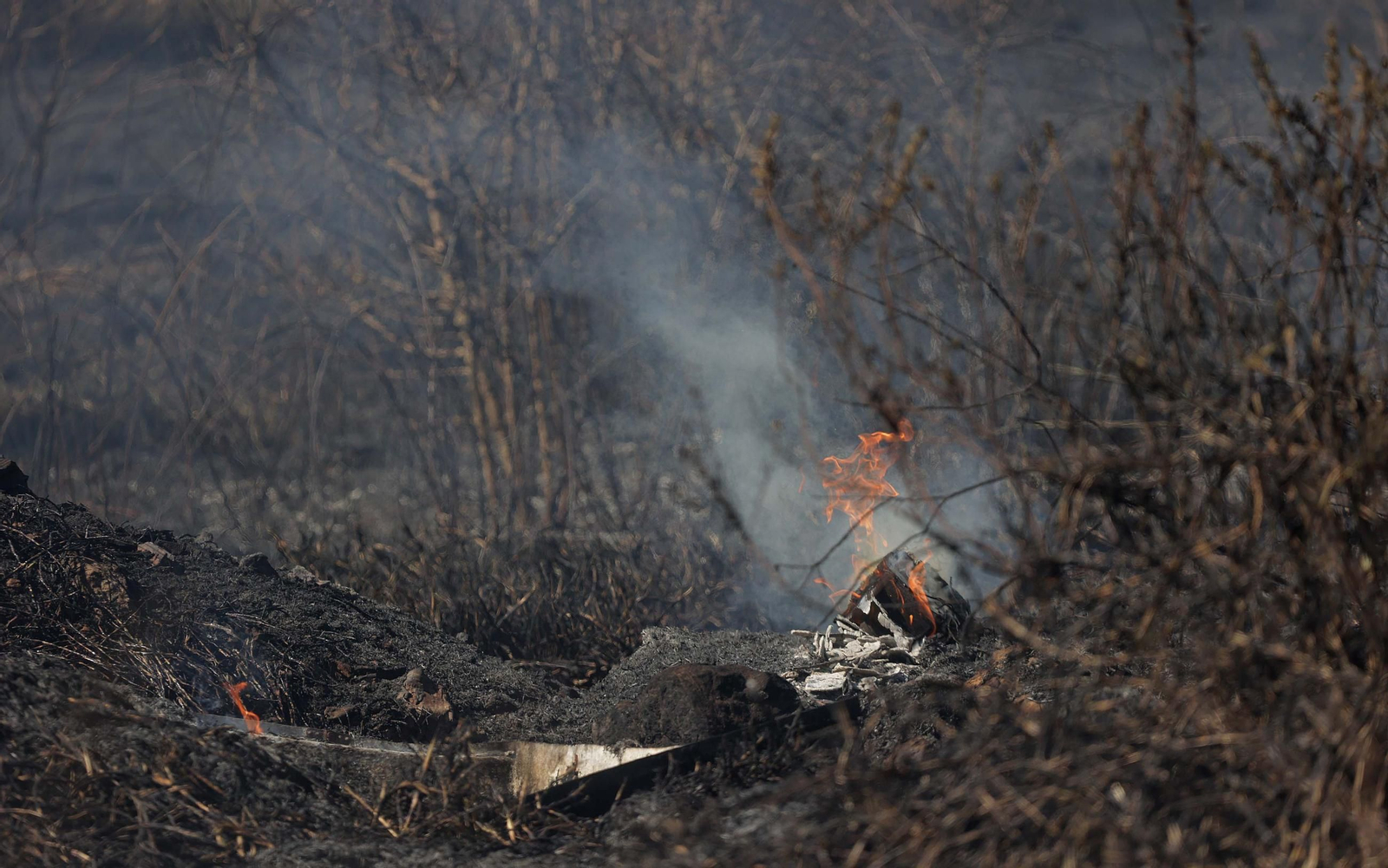 Fotos del incendio de pasto en el polígono de La Menacha en Algeciras