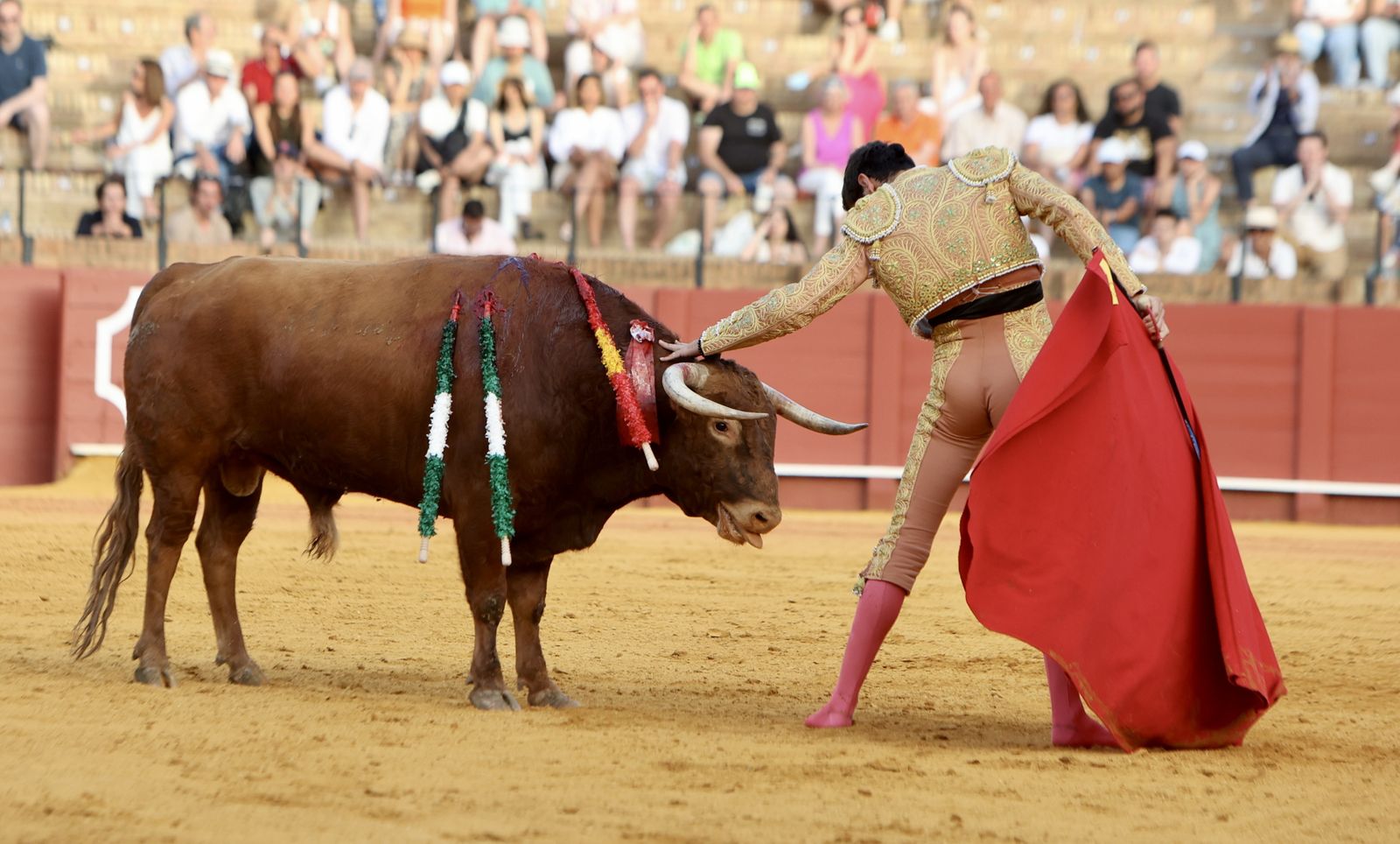 Novillada El Melli, Aarón Palacios y Manuel Jesús  Carrión
