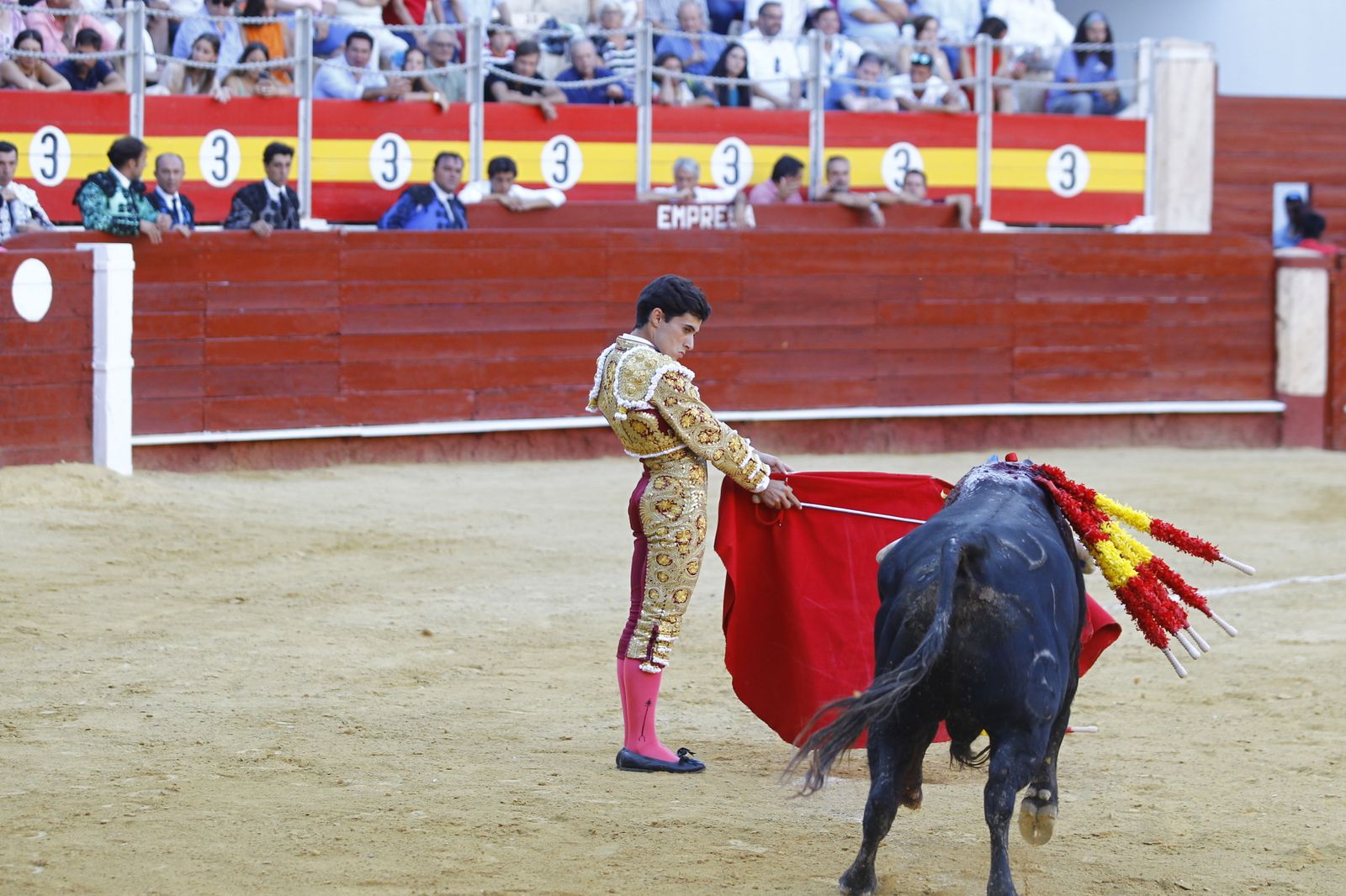 Fotogalería de la novillada de la Feria Taurina de Almería 2022