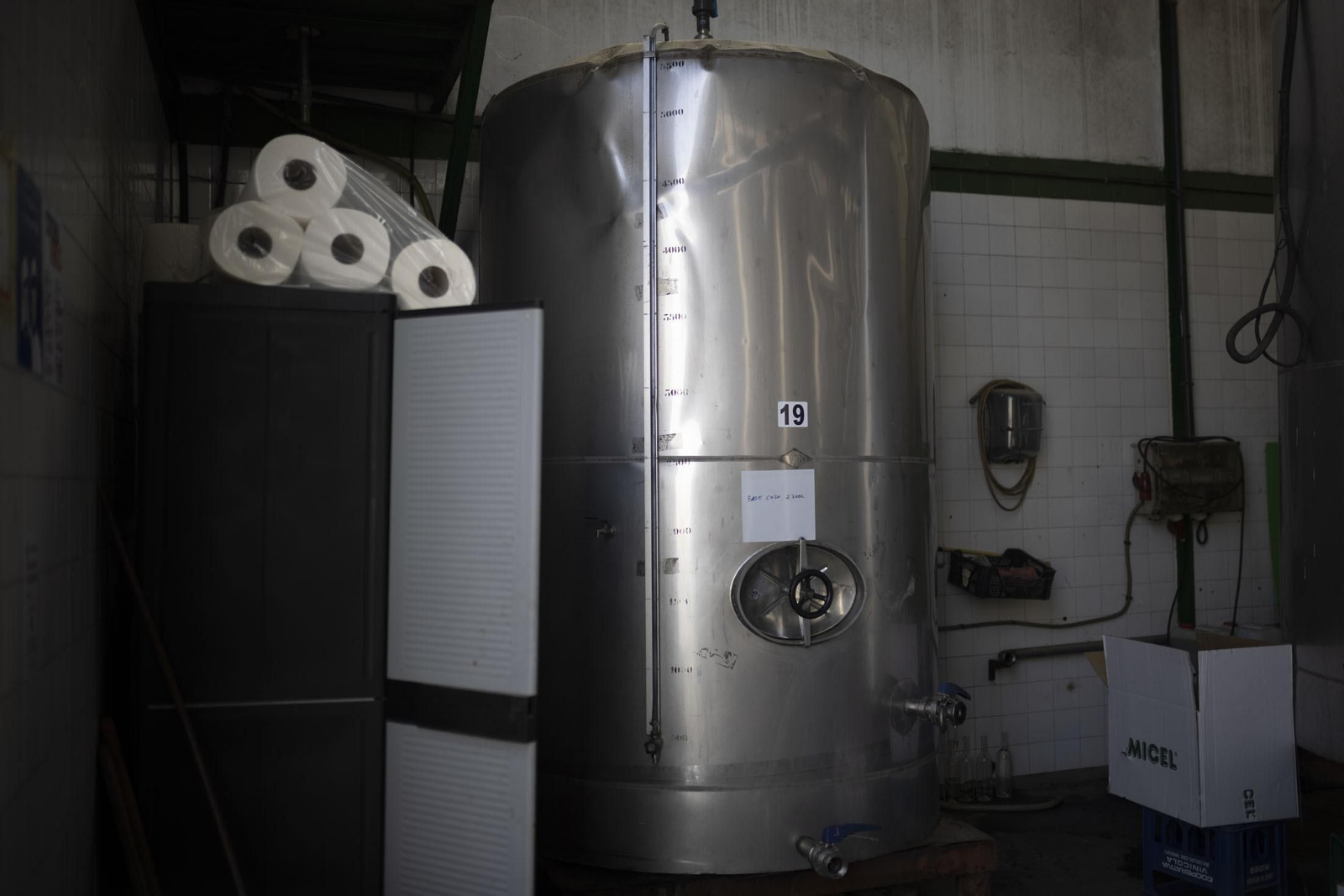 Imágenes de la vendimia en el Condado de Huelva