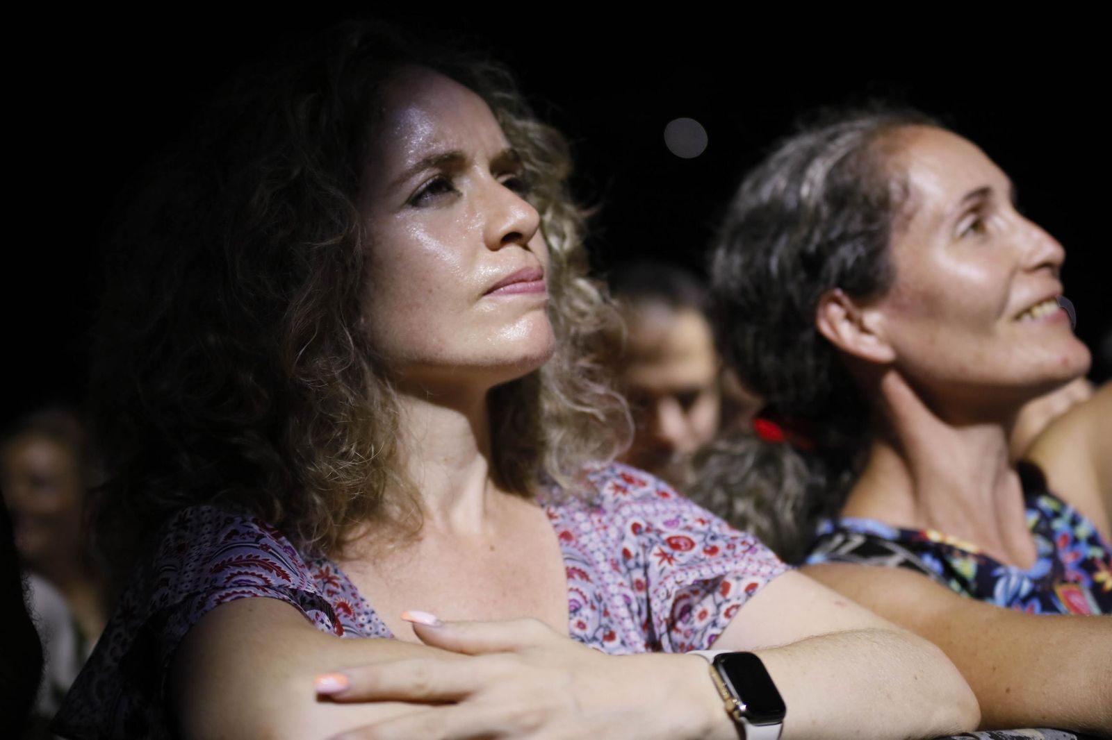 Concierto de Luis Fonsi en Almería