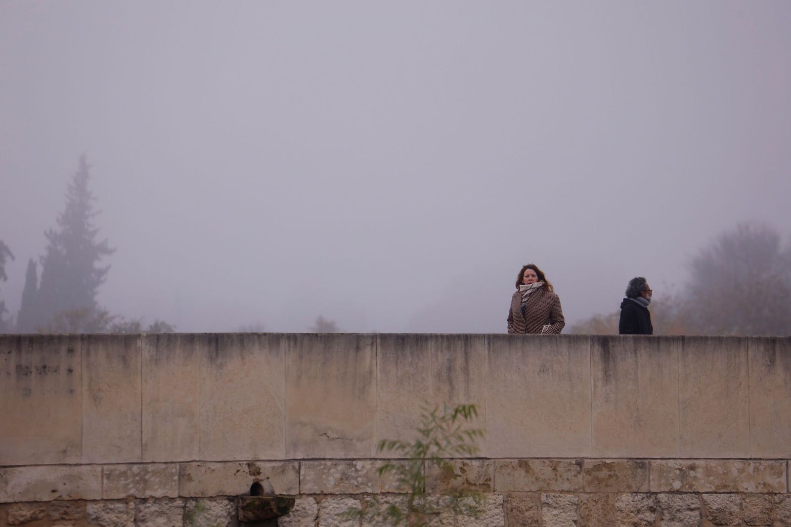 Córdoba amanece bajo la niebla el último día de 2025, en fotos