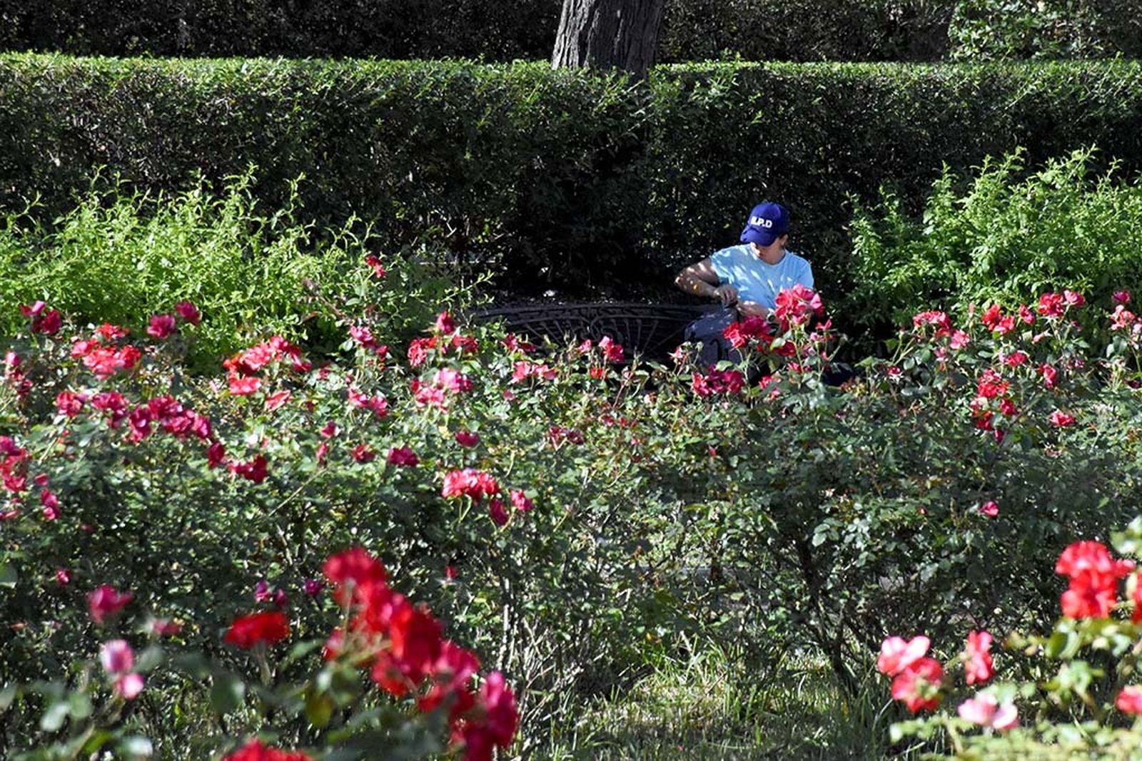 Las imágenes más destacadas del miércoles 8 de mayo en Huelva